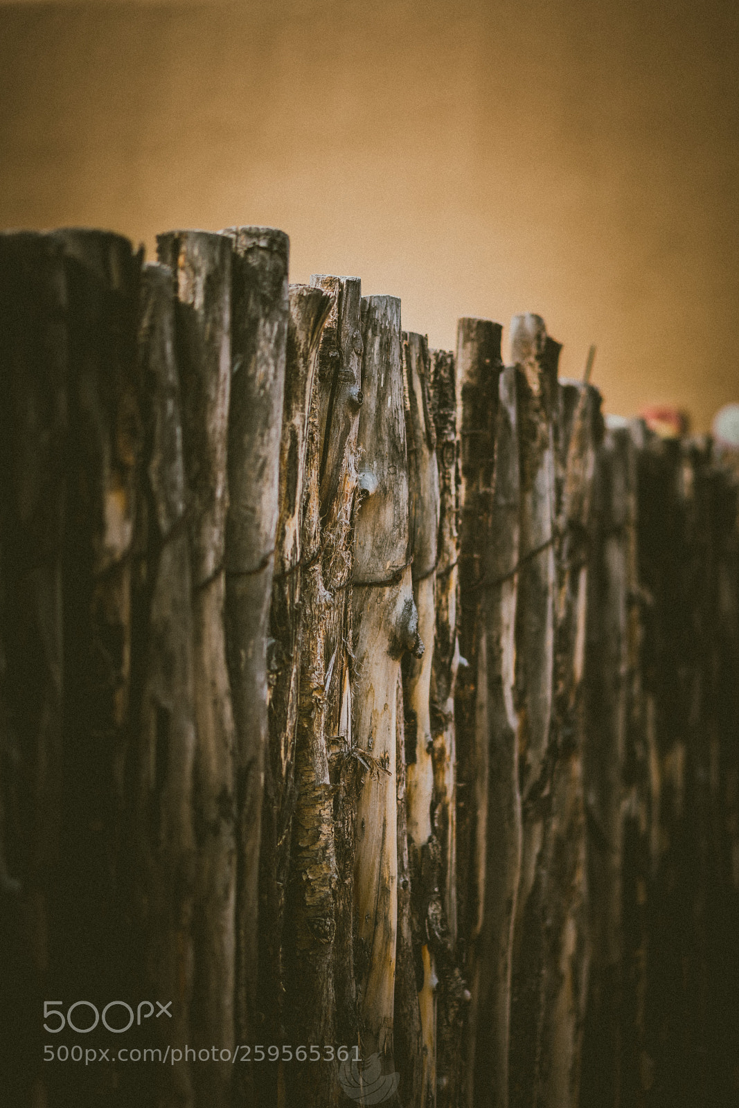 Sony a7R II sample photo. Barriers photography