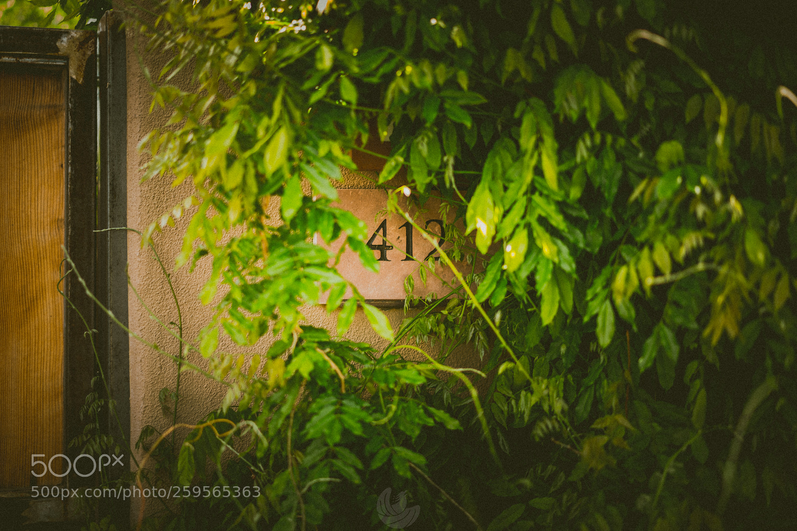 Sony a7R II sample photo. Green accents photography