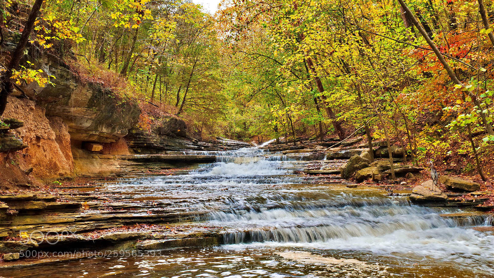 Nikon D5300 sample photo. Tanyard creek falls photography