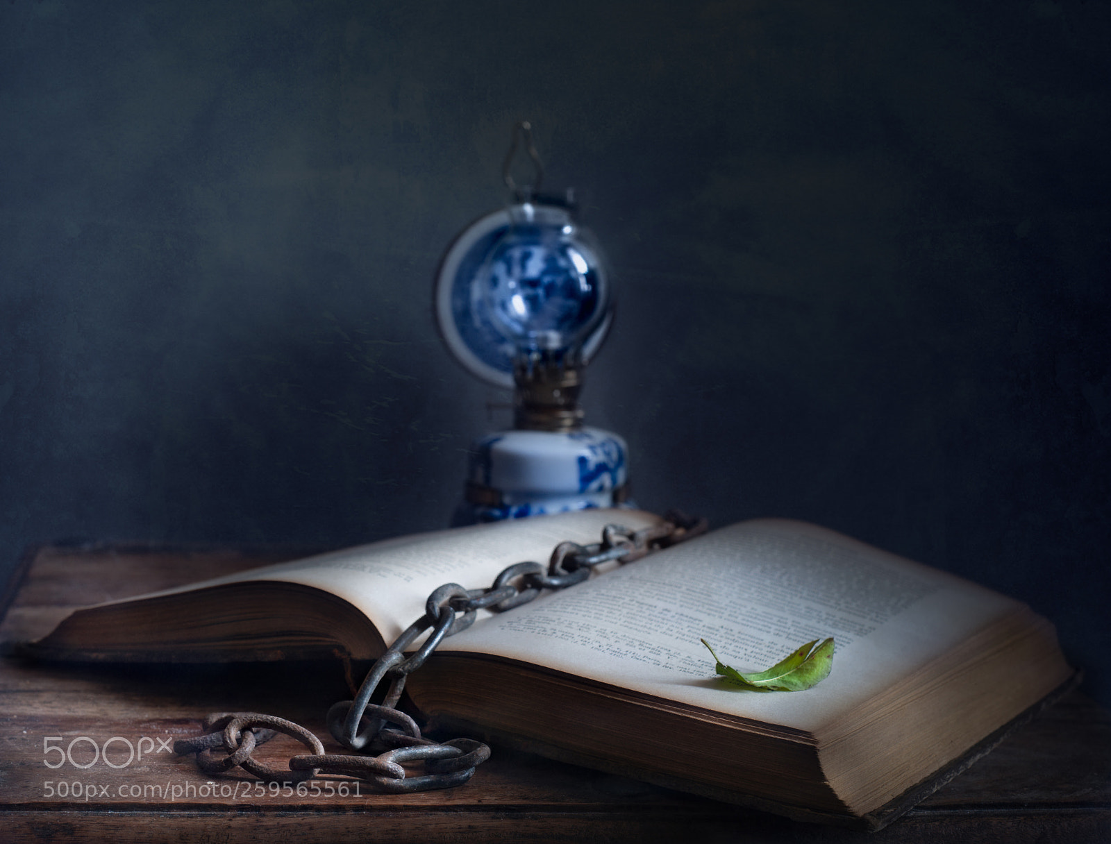 Nikon D800 sample photo. The secret of knowledge! photography