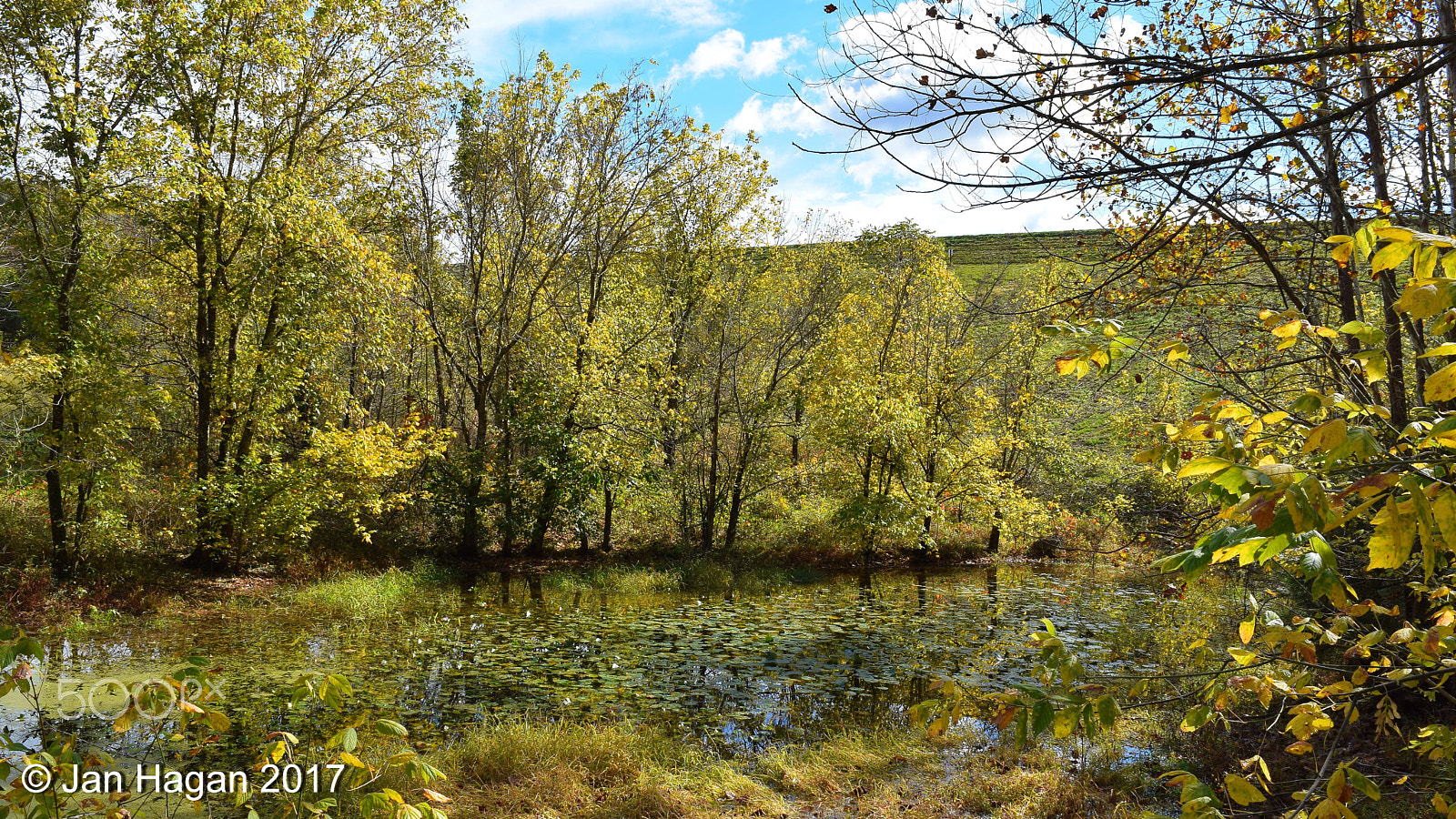 Nikon D5300 sample photo. Tanyard creek pond photography