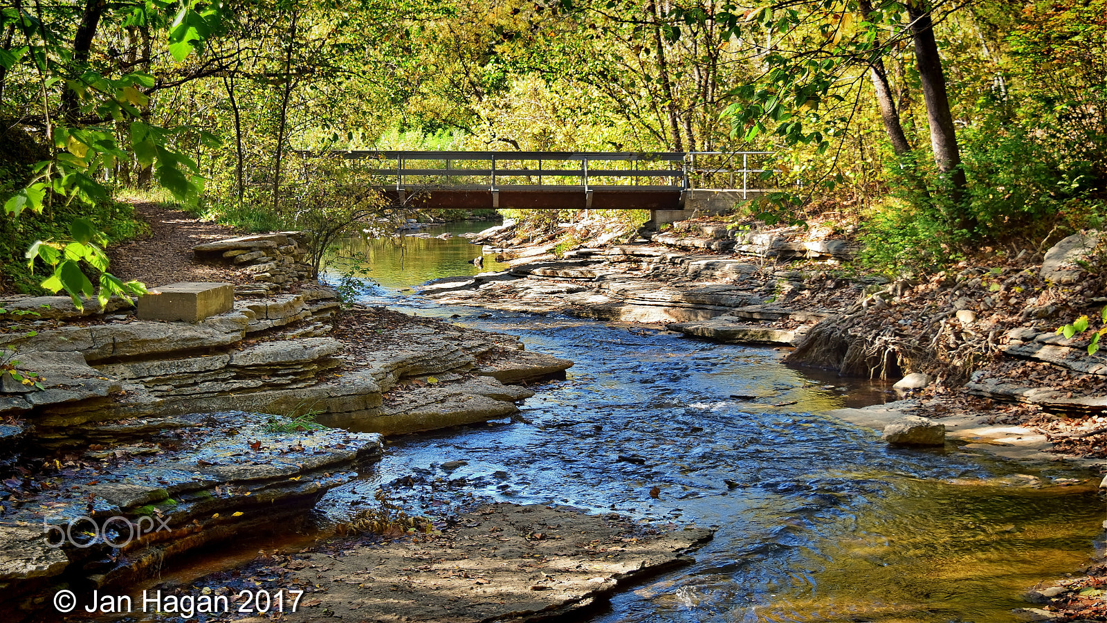Nikon D5300 sample photo. Tanyard creek bridge photography