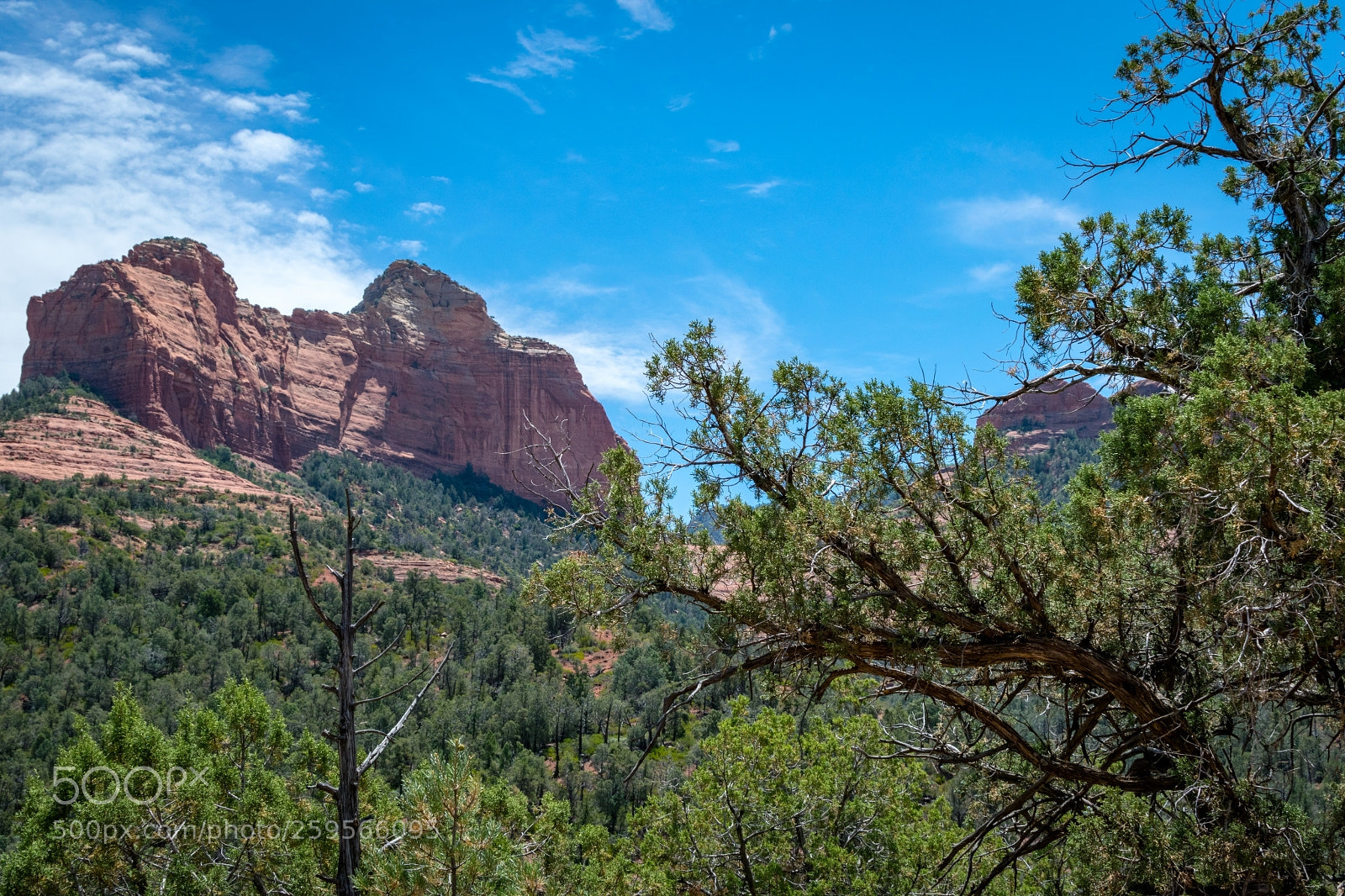 Nikon D5300 sample photo. Sedona photography