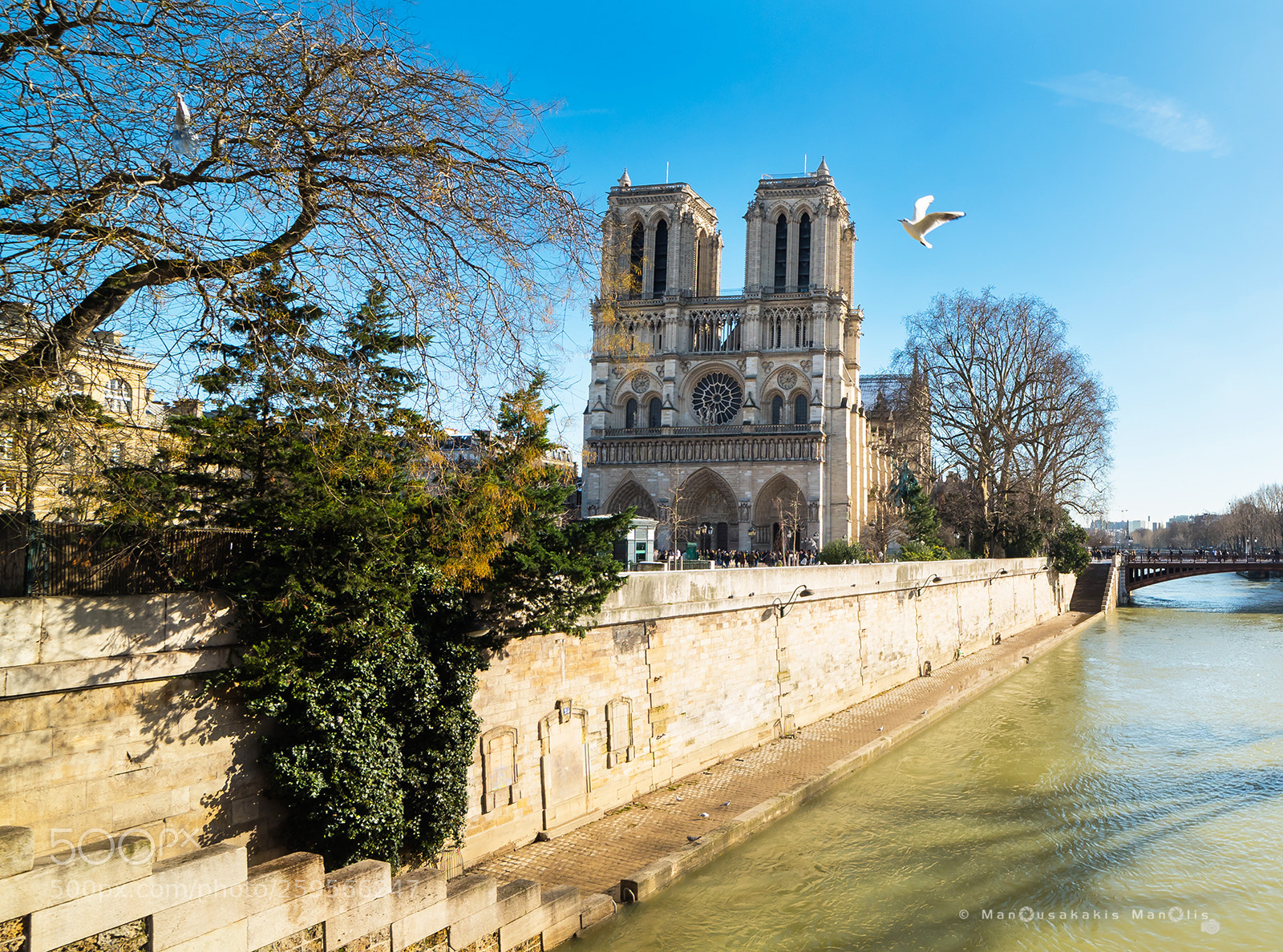 Nikon D750 sample photo. Paris . photography