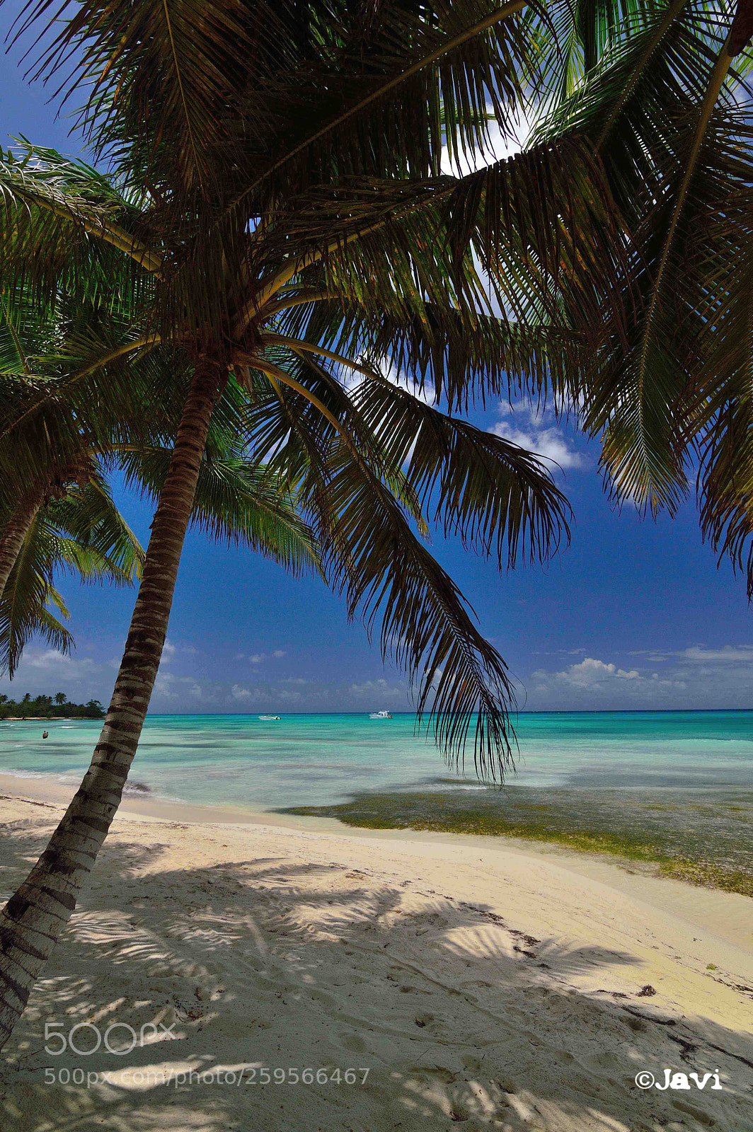 Nikon D3200 sample photo. Isla saona republica dominicana photography