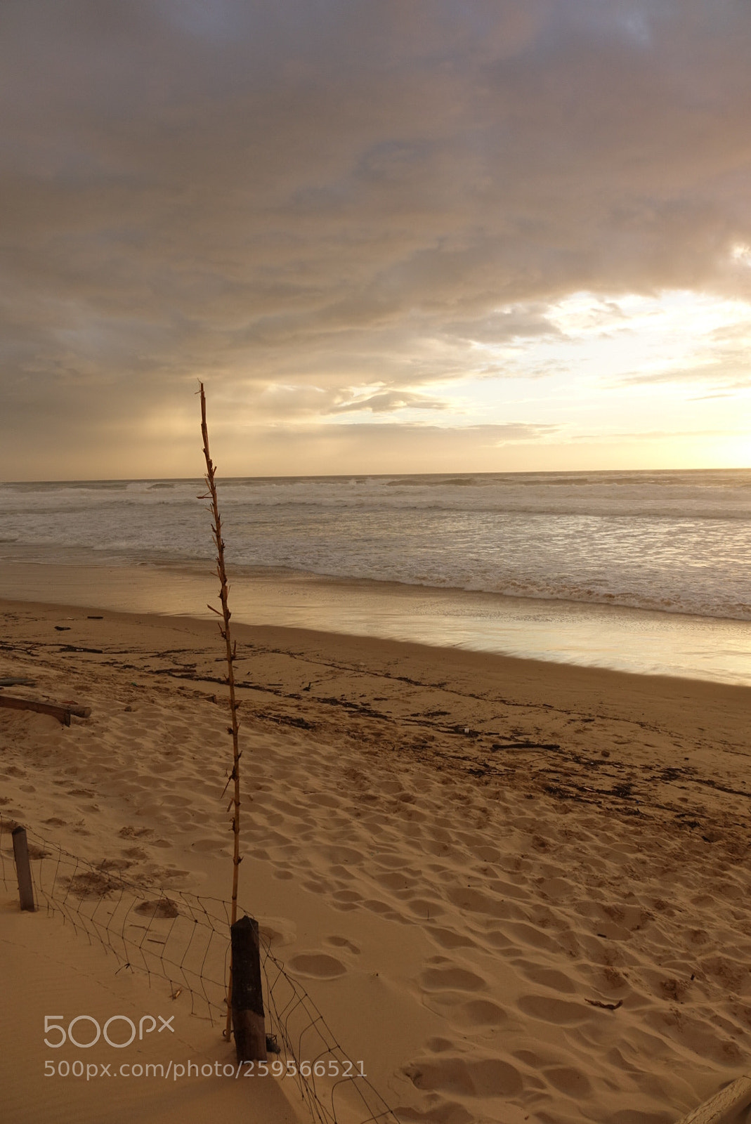 Sony Cyber-shot DSC-RX10 sample photo. Keeper of the sea photography