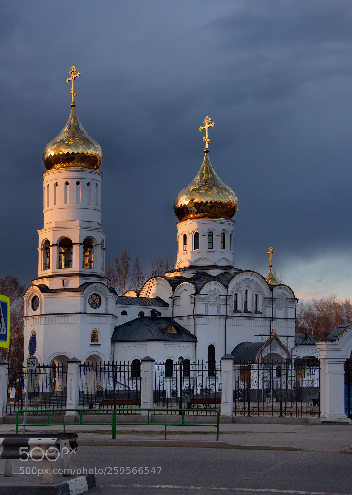 Nikon D750 sample photo. Russia. western siberia. the photography