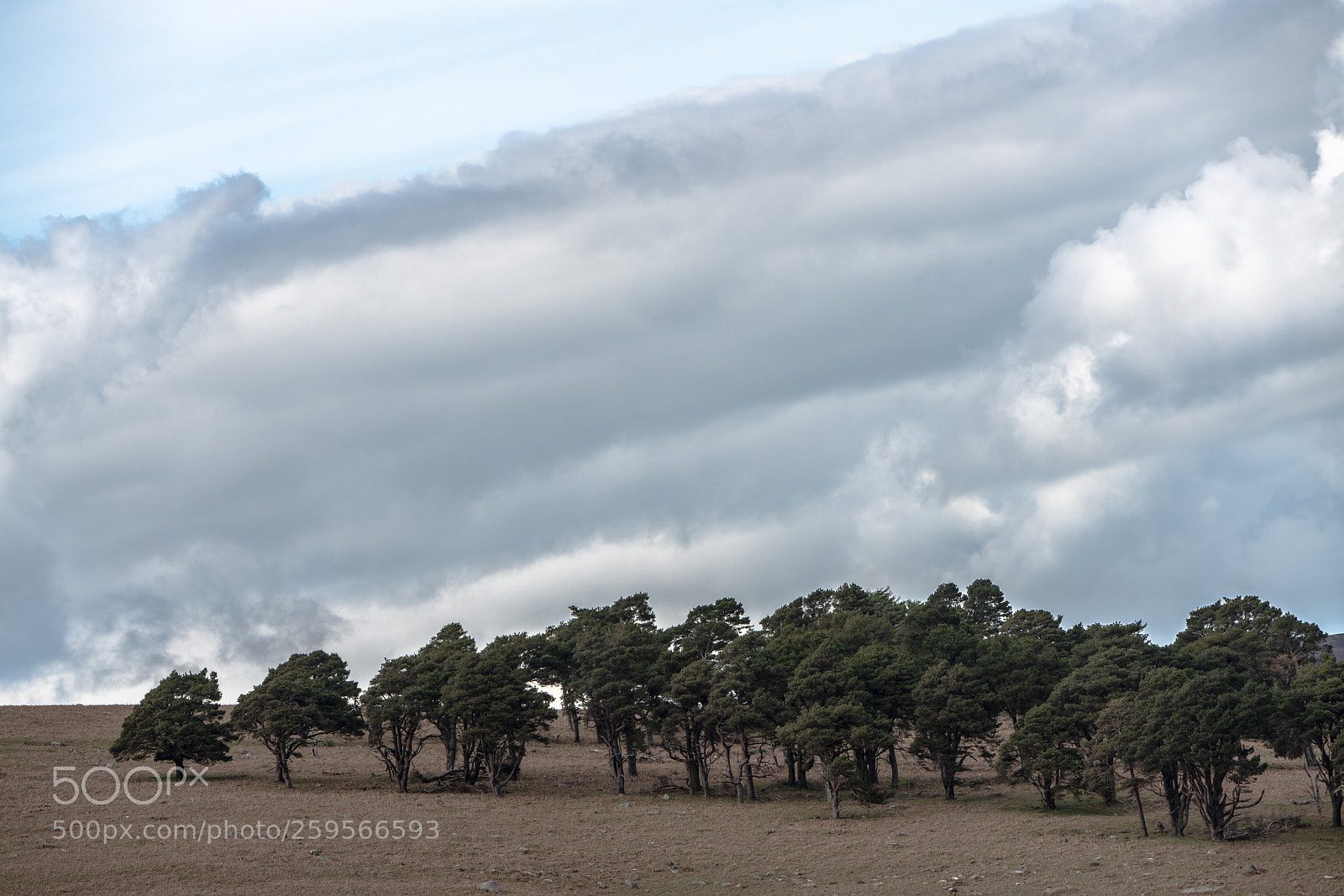 Sony a7R III sample photo. Dsc photography