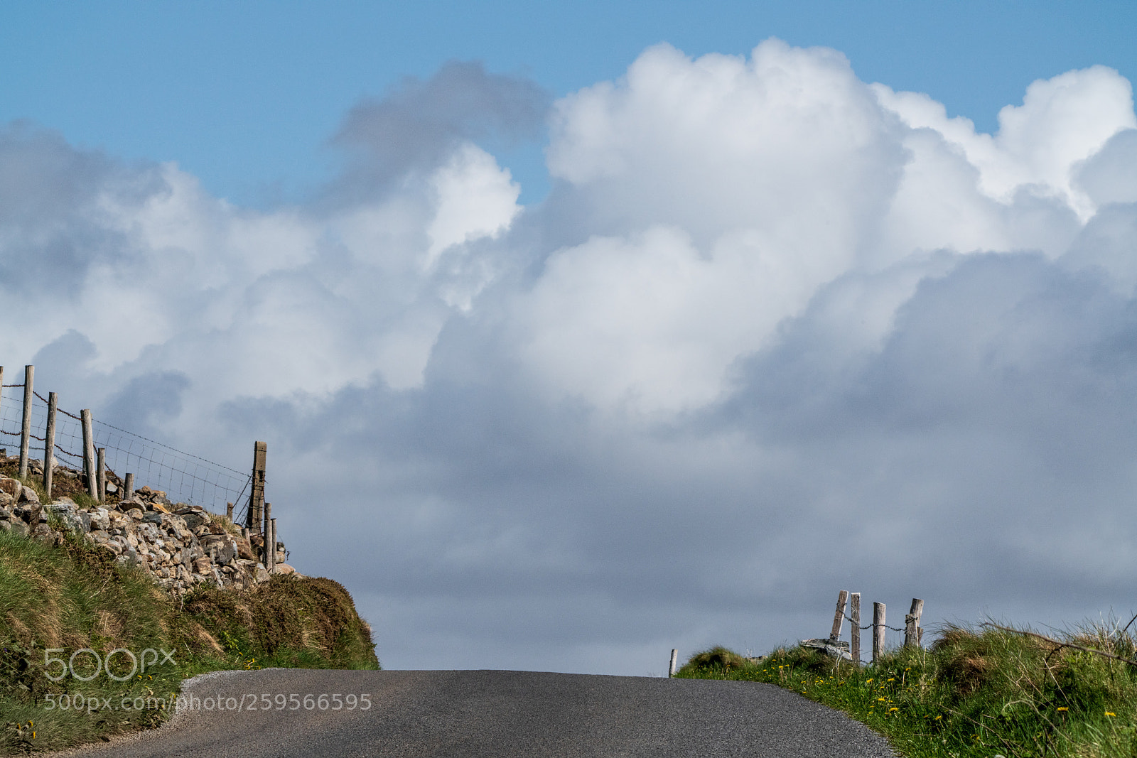 Sony a7R III sample photo. Dsc photography