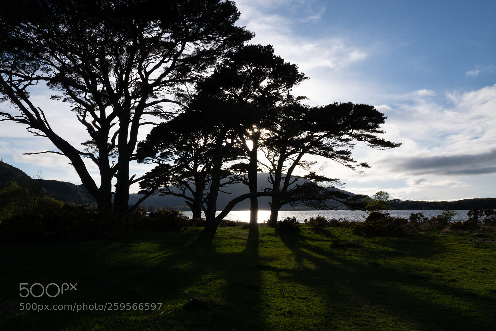 Sony a7R III sample photo. Dsc photography