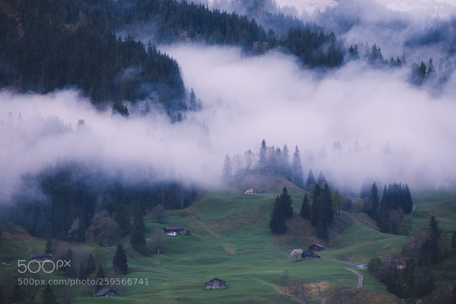 Canon EOS 5D Mark IV sample photo. Foggy photography