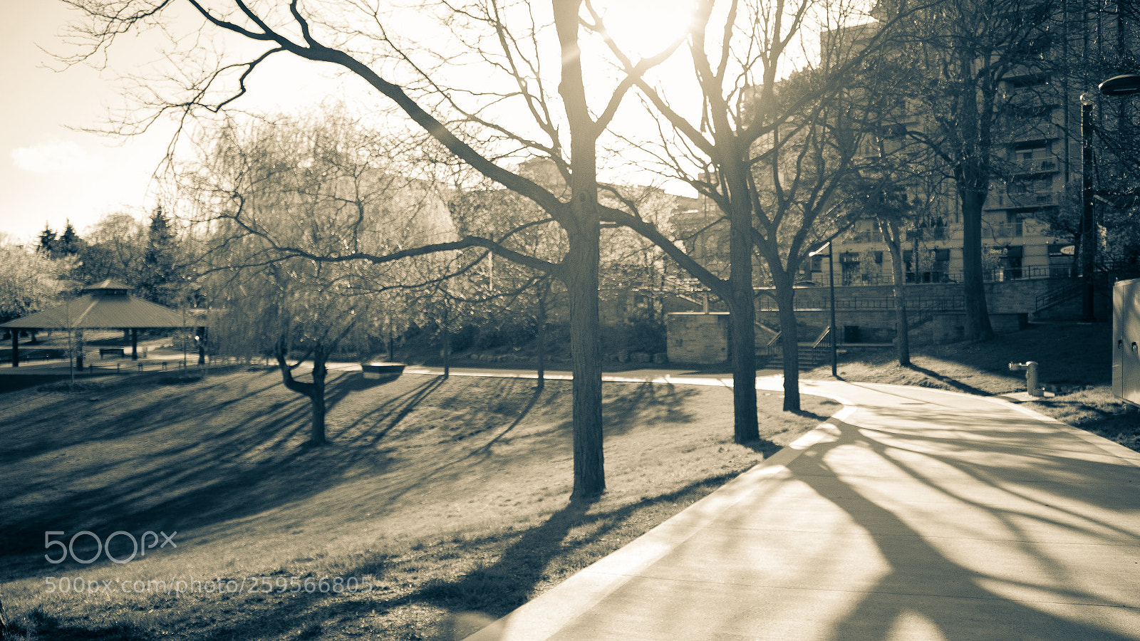 Canon EOS 700D (EOS Rebel T5i / EOS Kiss X7i) sample photo. Spencer smith park golden photography
