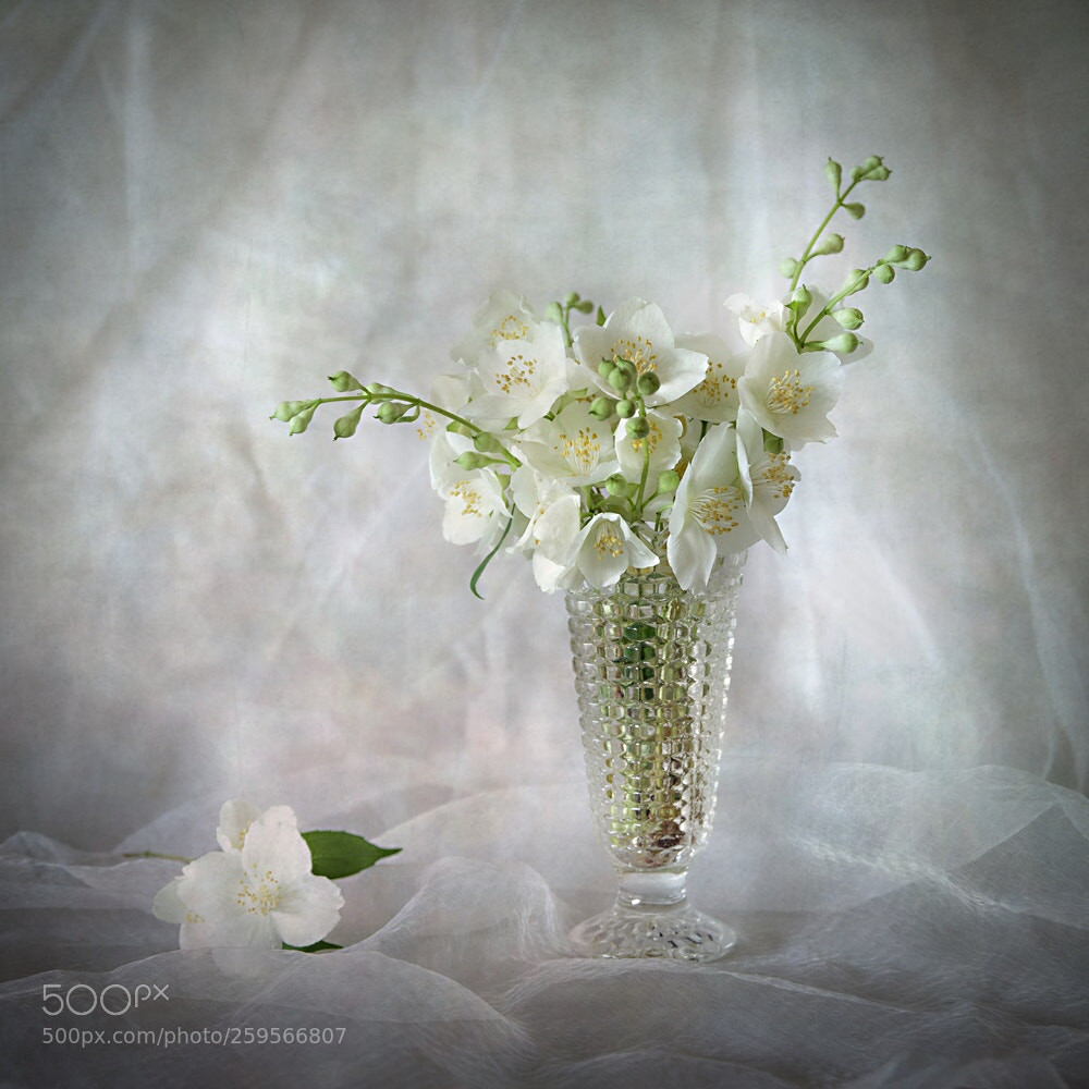 Pentax K-1 sample photo. Still life with jasmine photography