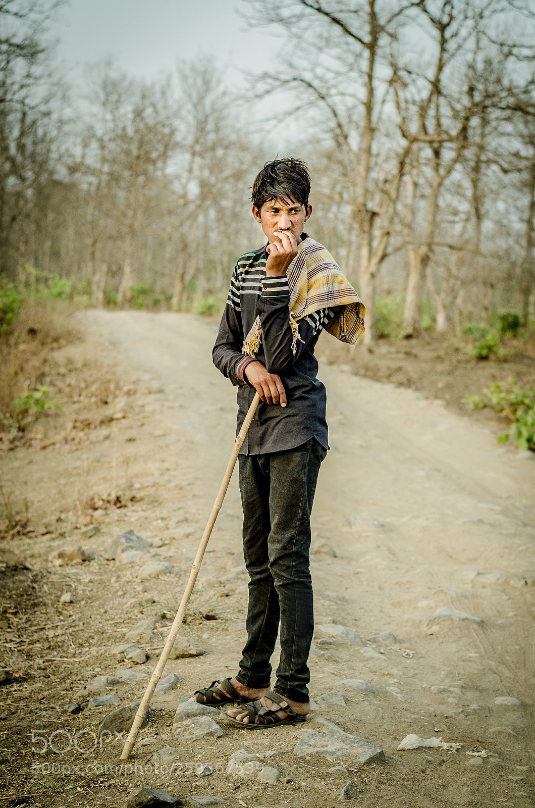 Nikon D5100 sample photo. Herder photography