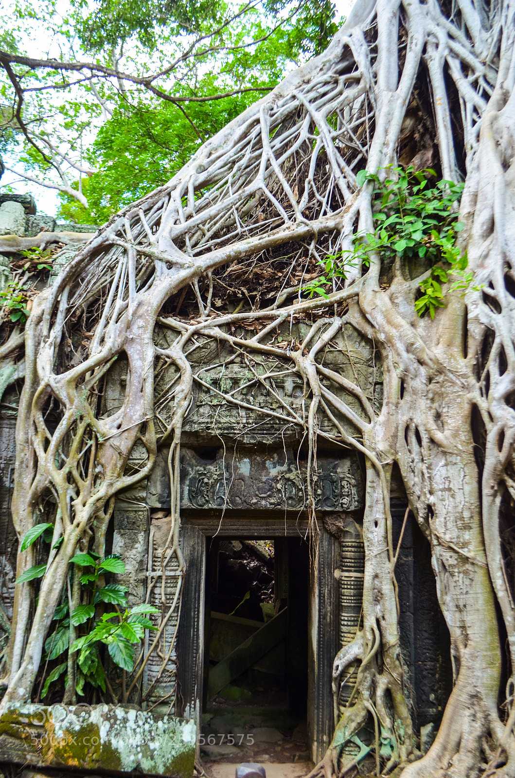 Nikon D5100 sample photo. Angkor wat doorway photography