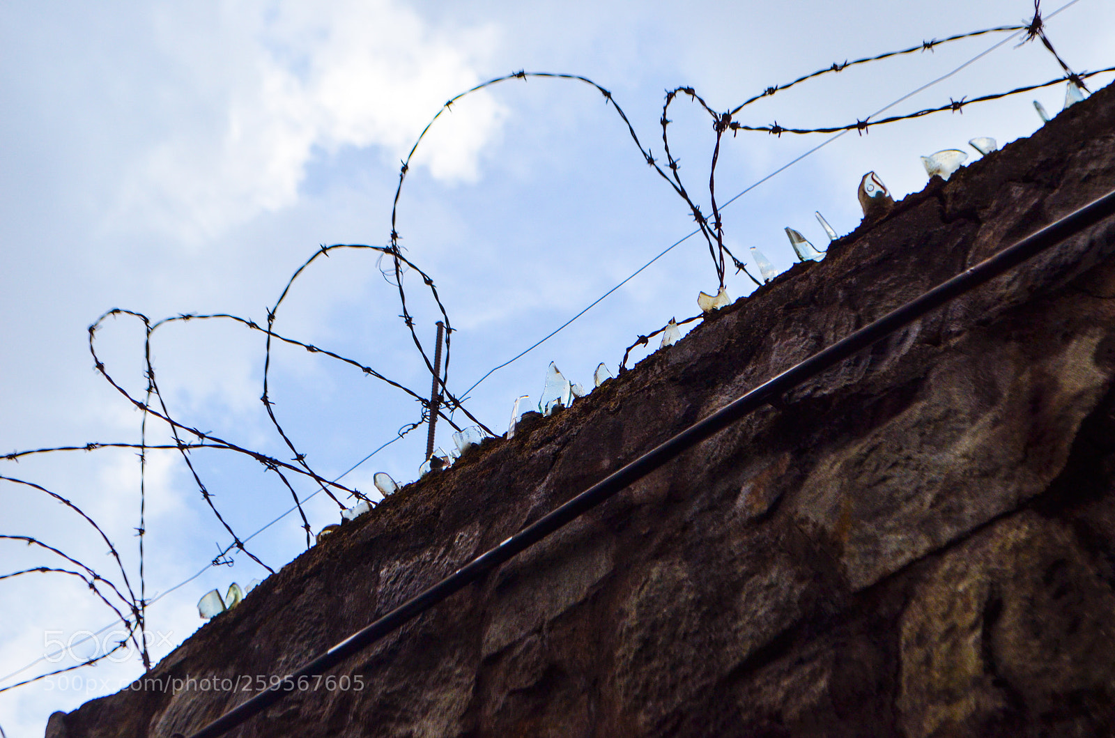 Nikon D5100 sample photo. Untitled photography