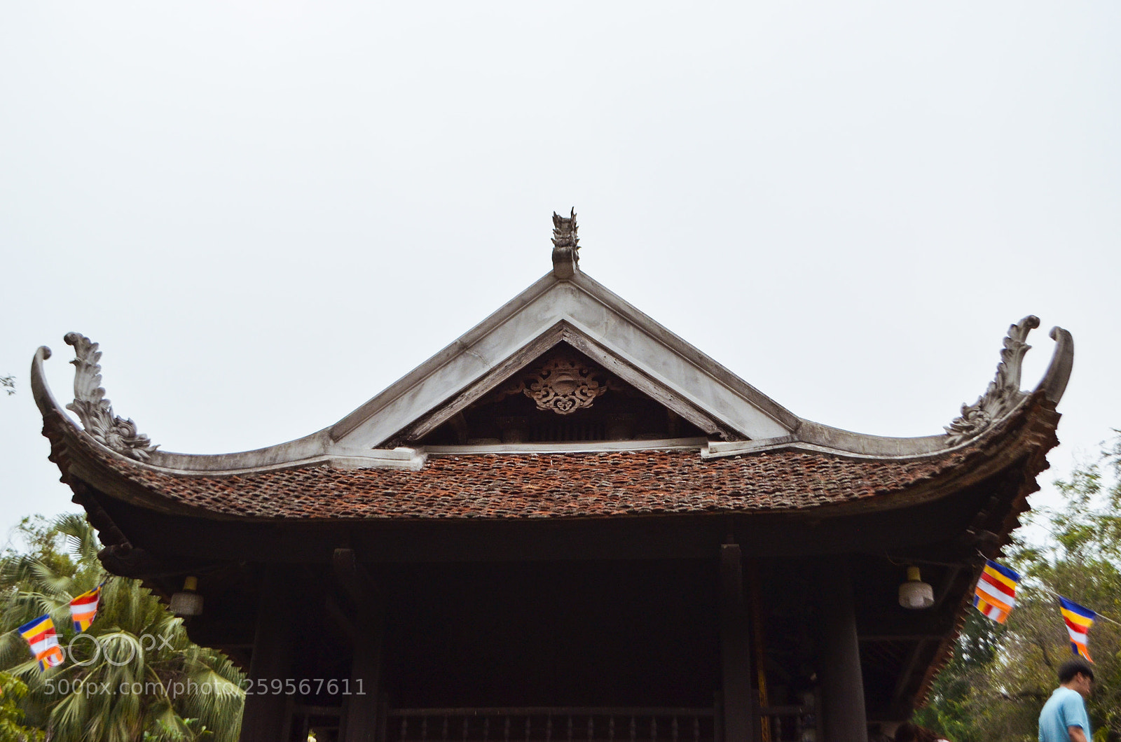 Nikon D5100 sample photo. Temples everywhere photography