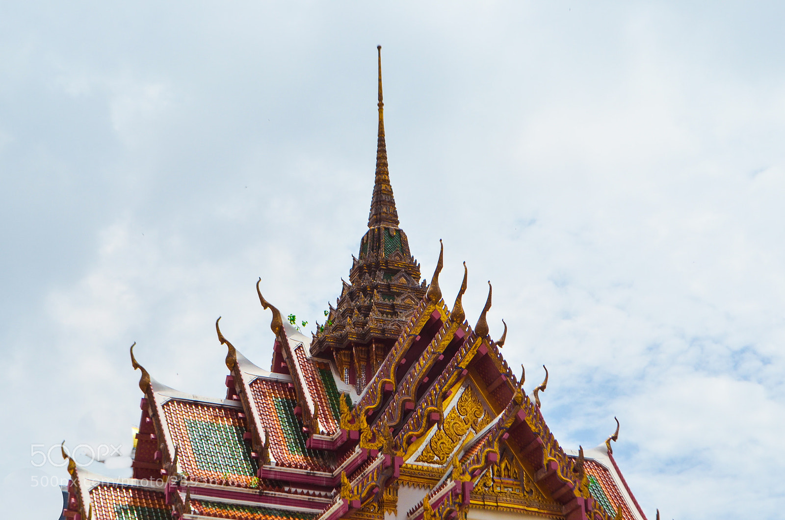 Nikon D5100 sample photo. Snake roof photography