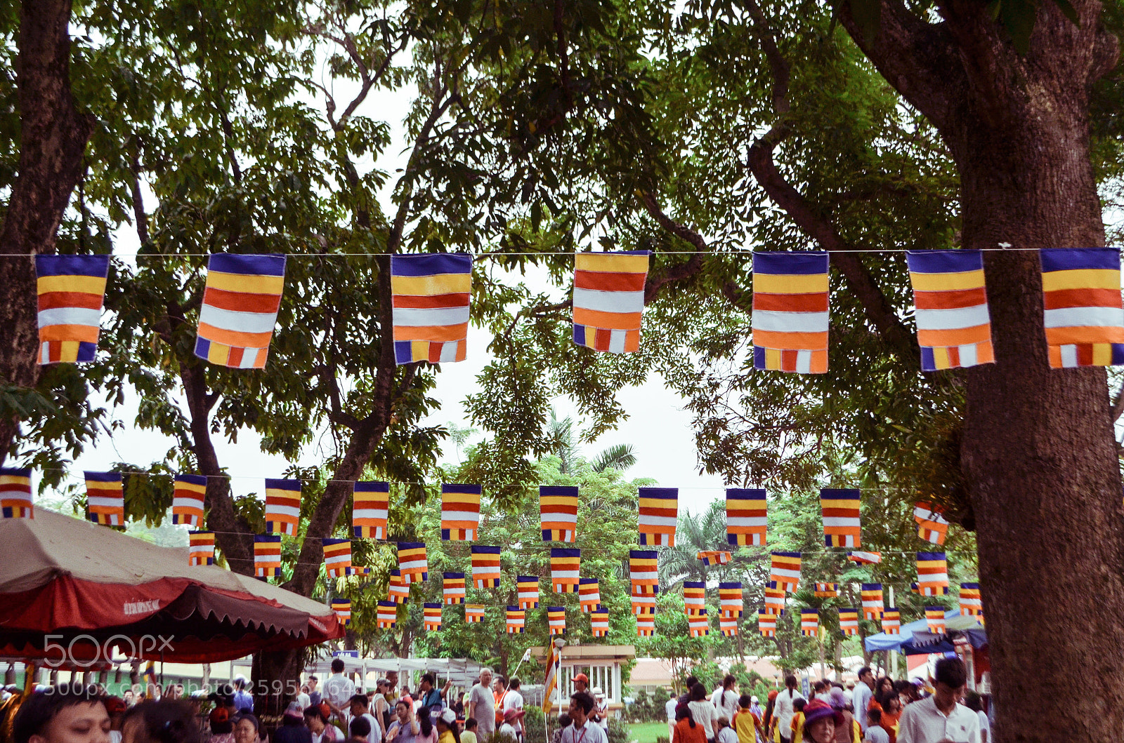 Nikon D5100 sample photo. Promenade flags photography