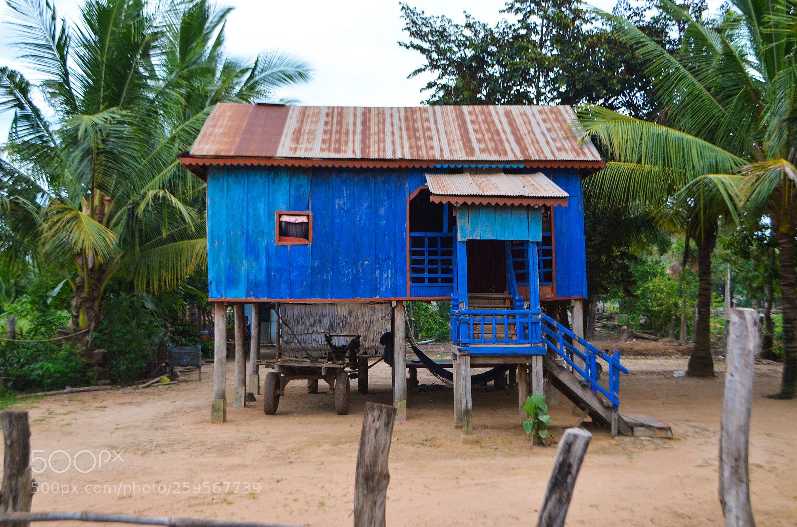 Nikon D5100 sample photo. Untitled photography