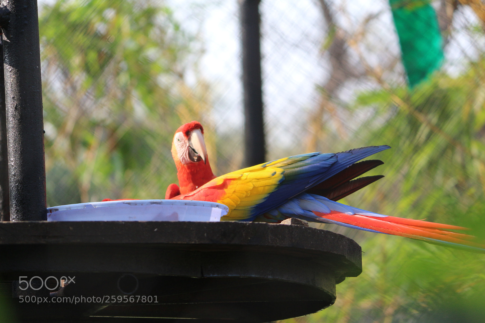 Canon EF-S 55-250mm F4-5.6 IS II sample photo. Untitled photography