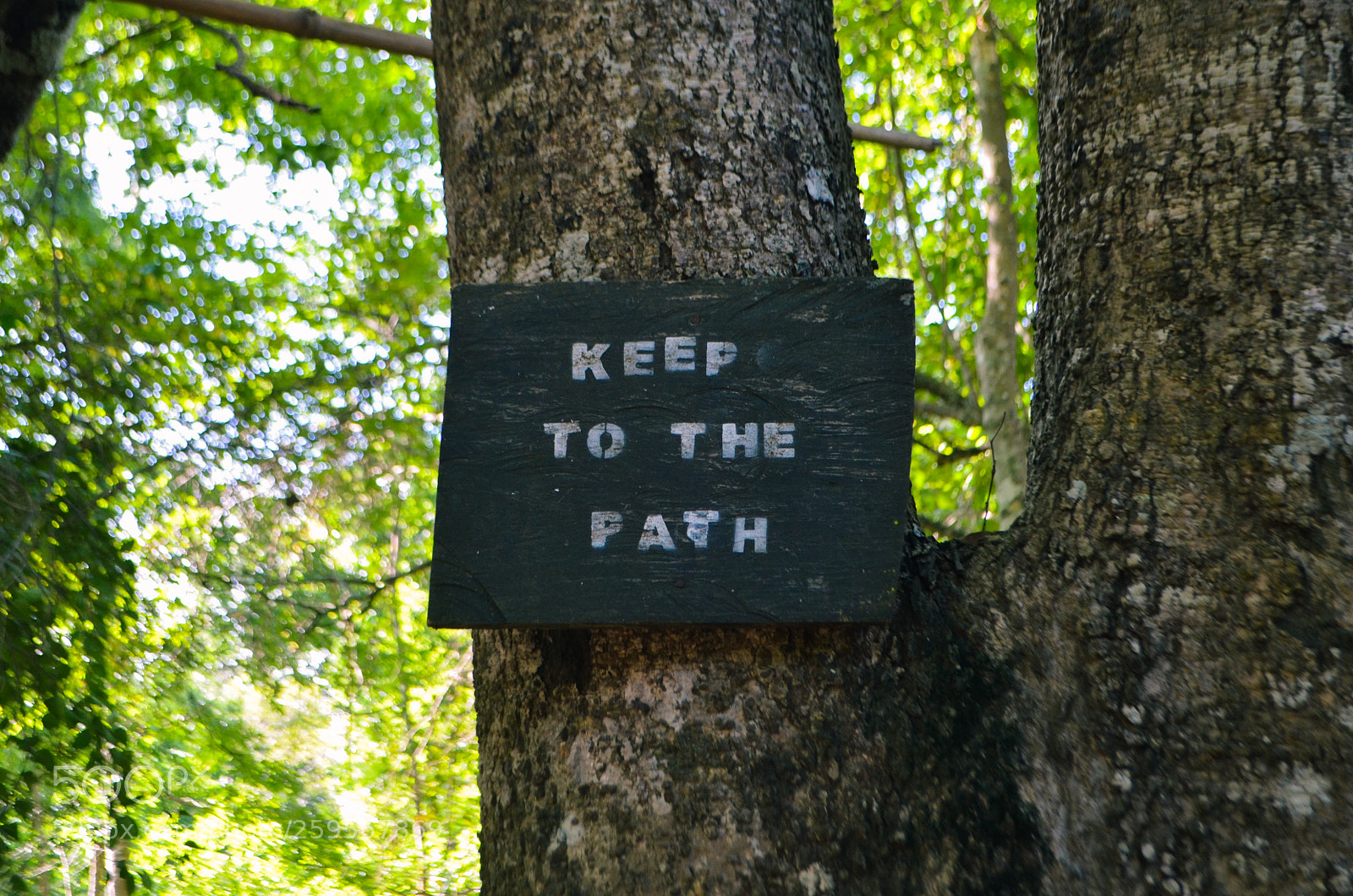 Nikon D5100 sample photo. Encouragement photography