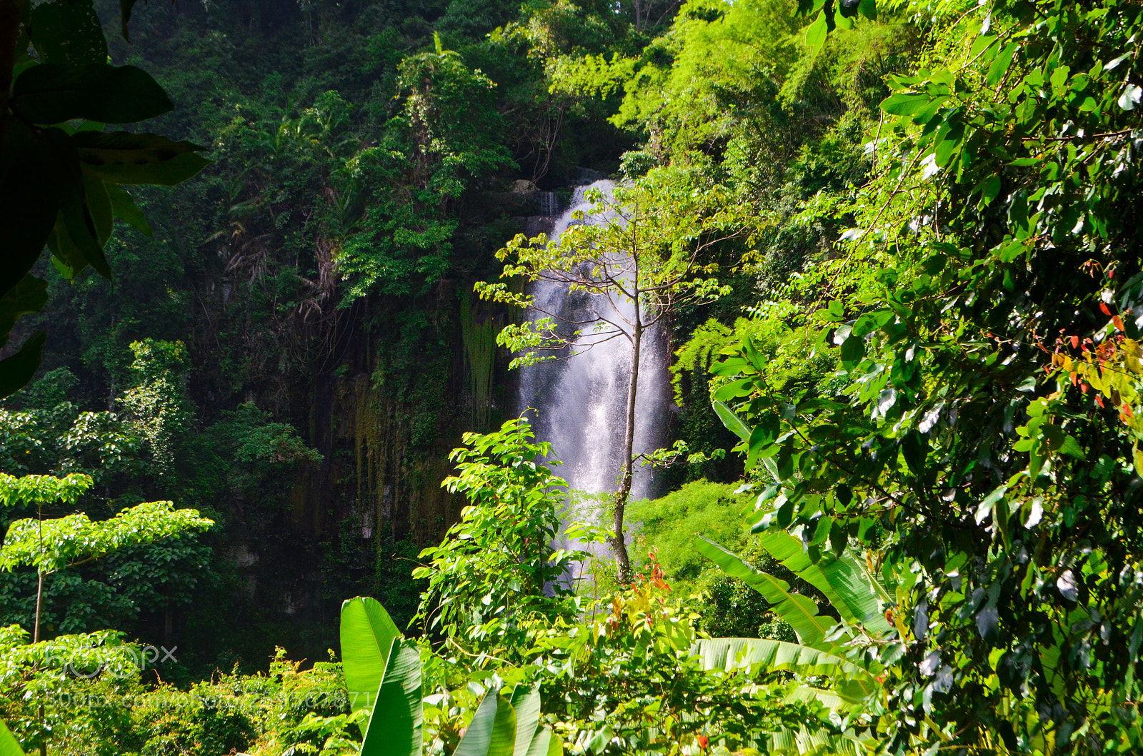 Nikon D5100 sample photo. Disney waterfall 1 photography