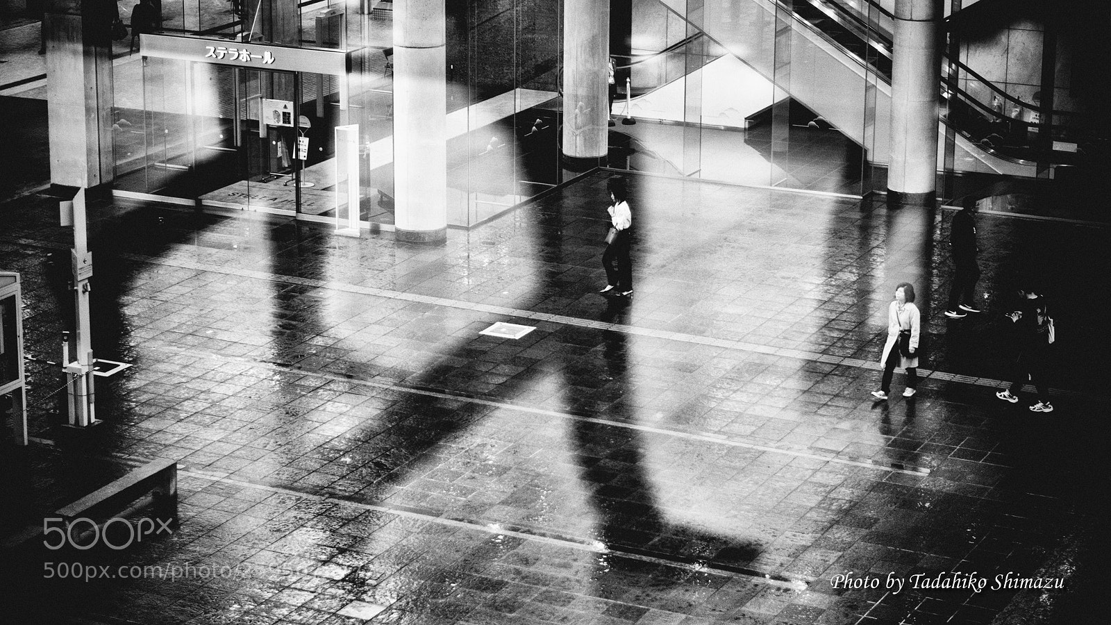 Fujifilm X-T2 sample photo. Break in the rain（雨間） photography
