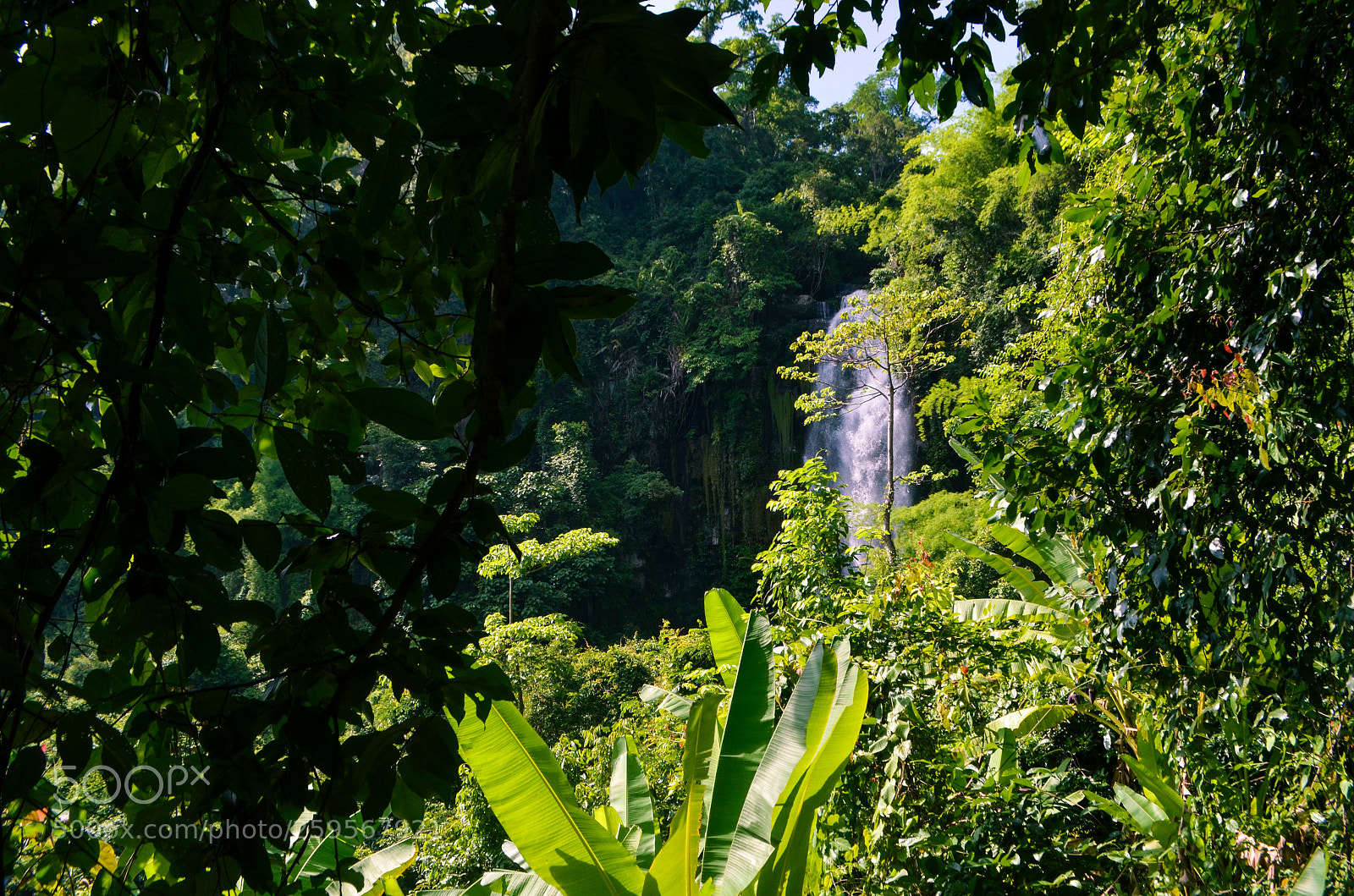 Nikon D5100 sample photo. Disney waterfall 2 photography