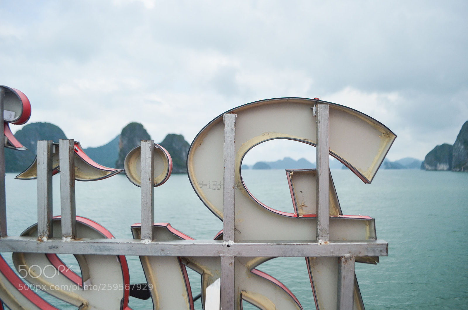 Nikon D5100 sample photo. Favourite sign photography