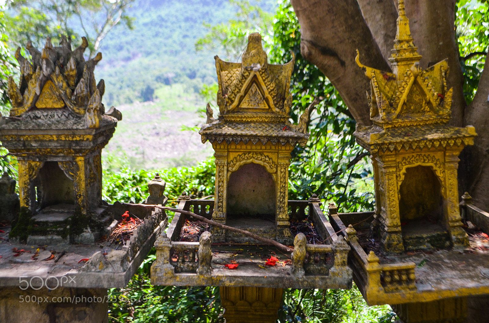 Nikon D5100 sample photo. Tiny temples photography