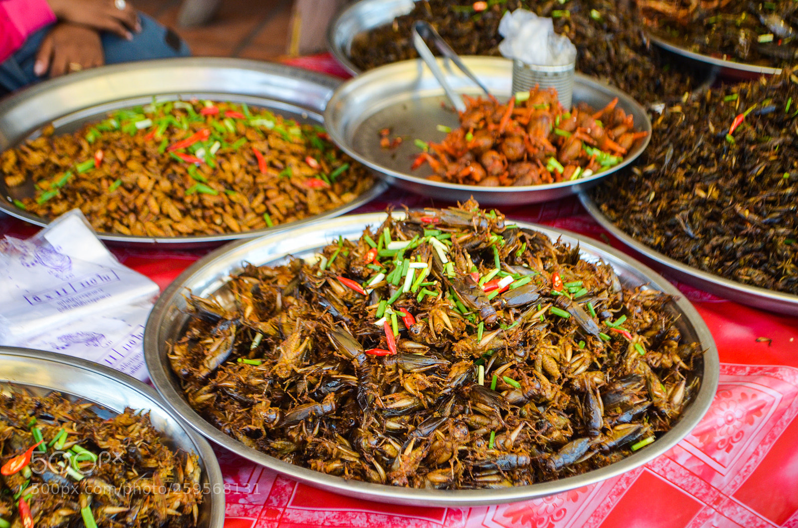 Nikon D5100 sample photo. Fried bugs photography