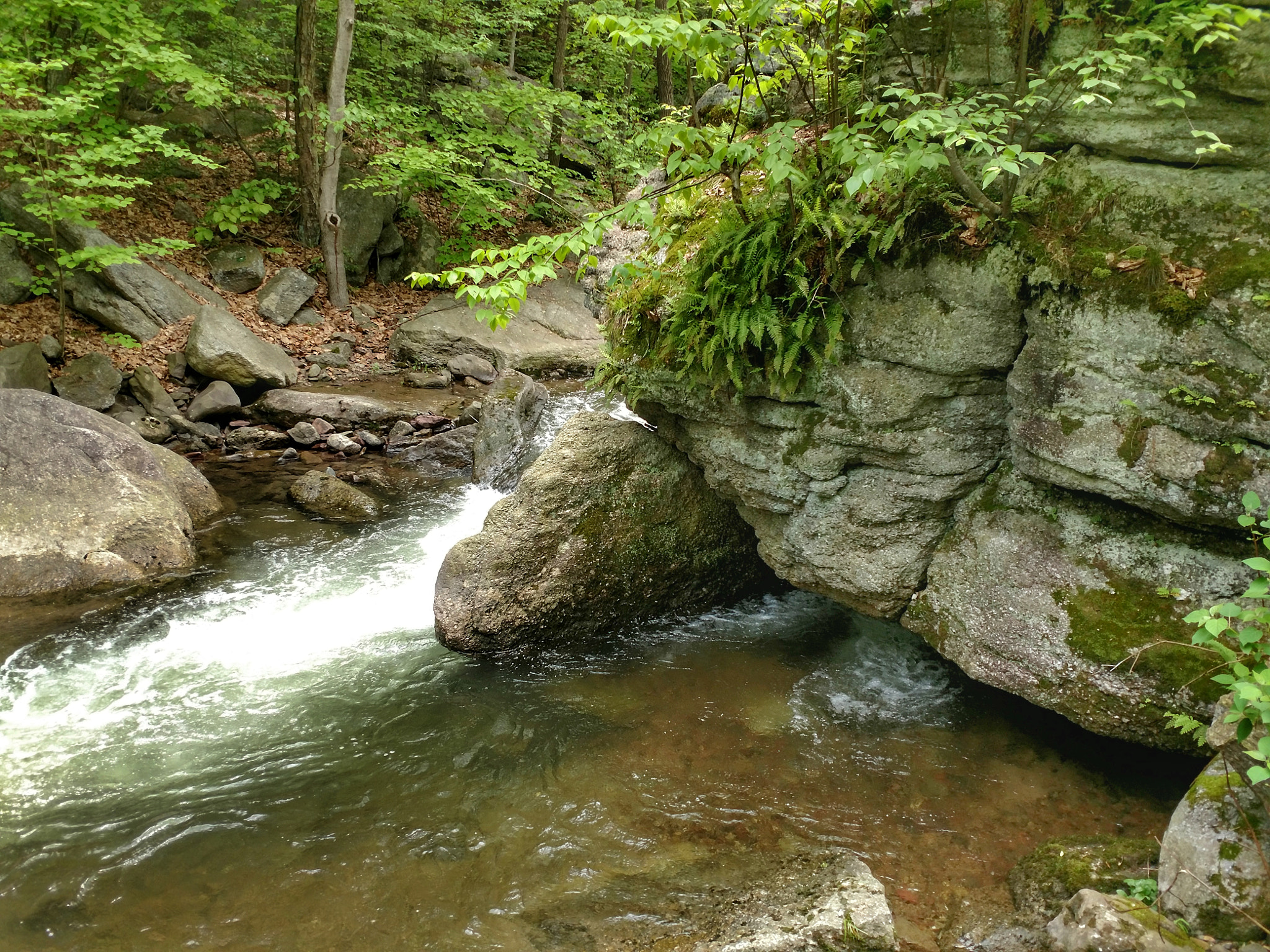 Motorola XT1650 sample photo. The tubs nature area photography