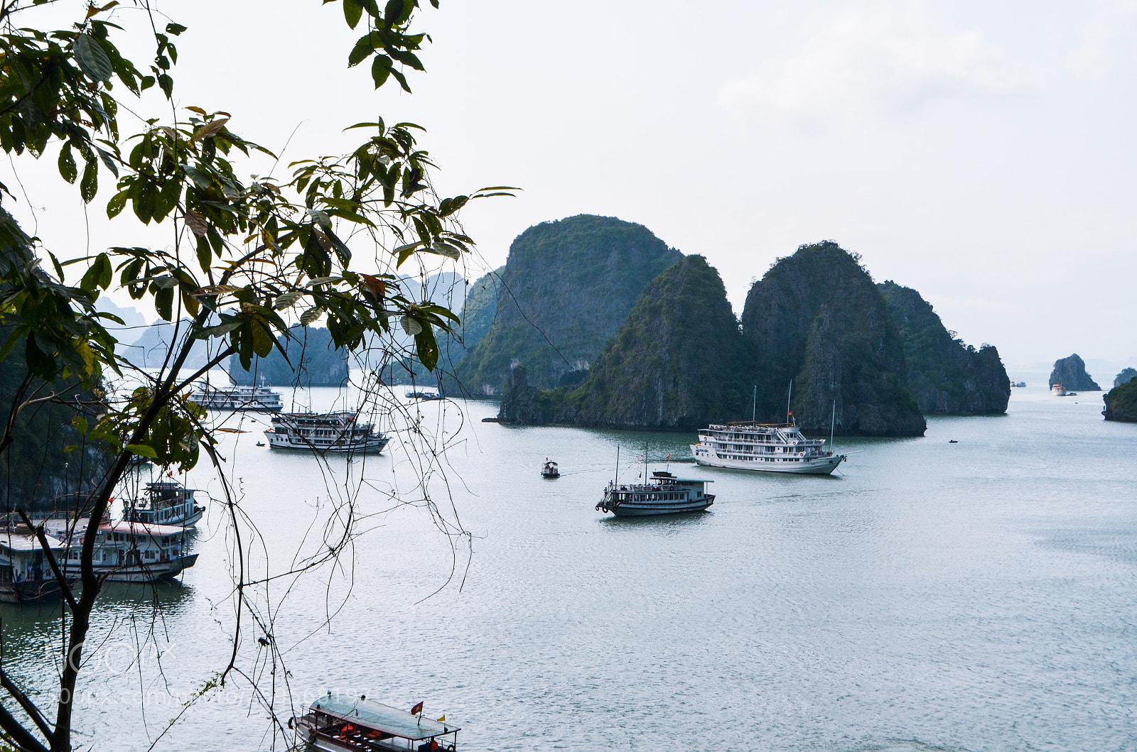 Nikon D5100 sample photo. Halong bay 16 photography