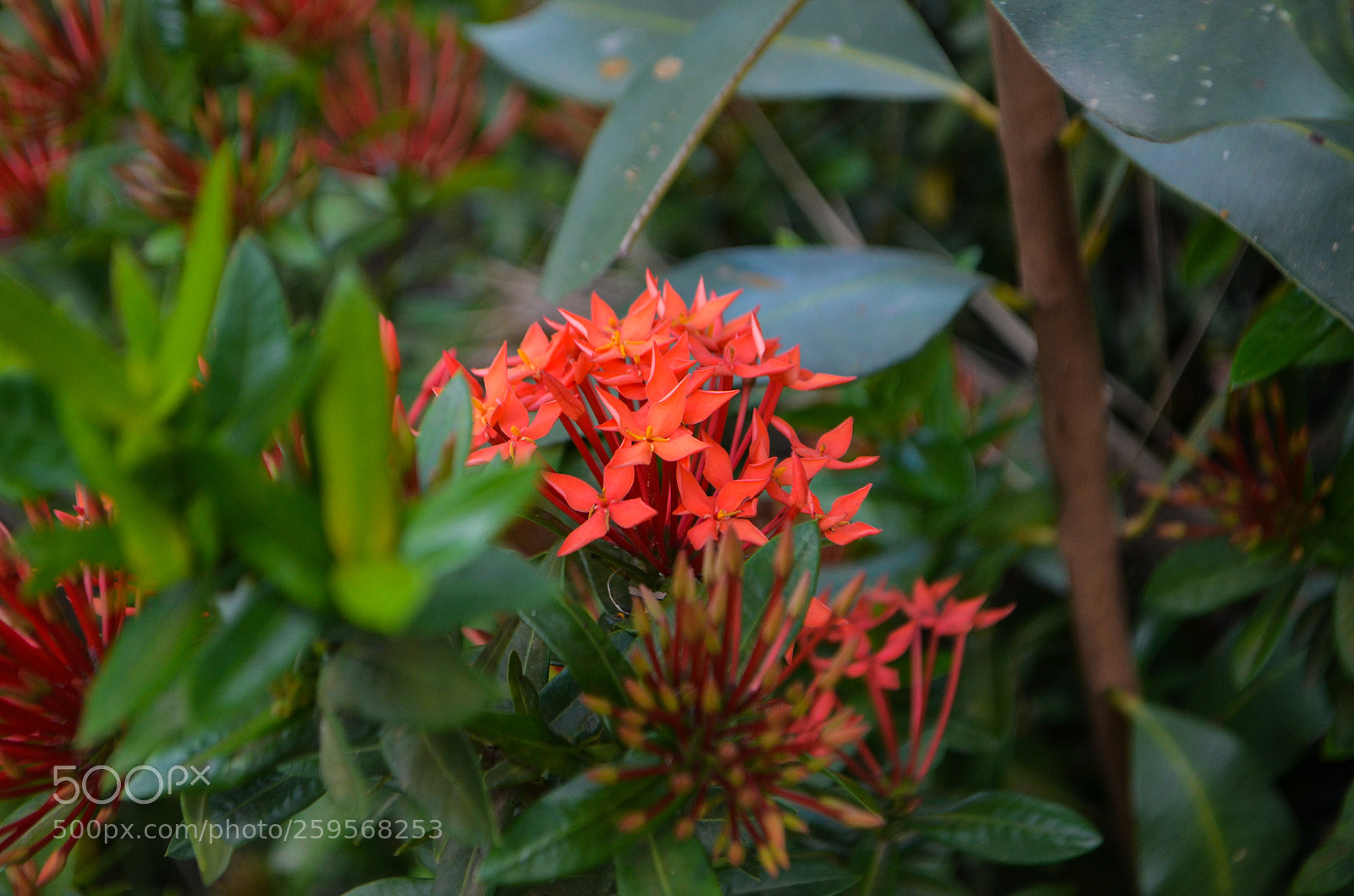 Nikon D5100 sample photo. Untitled photography