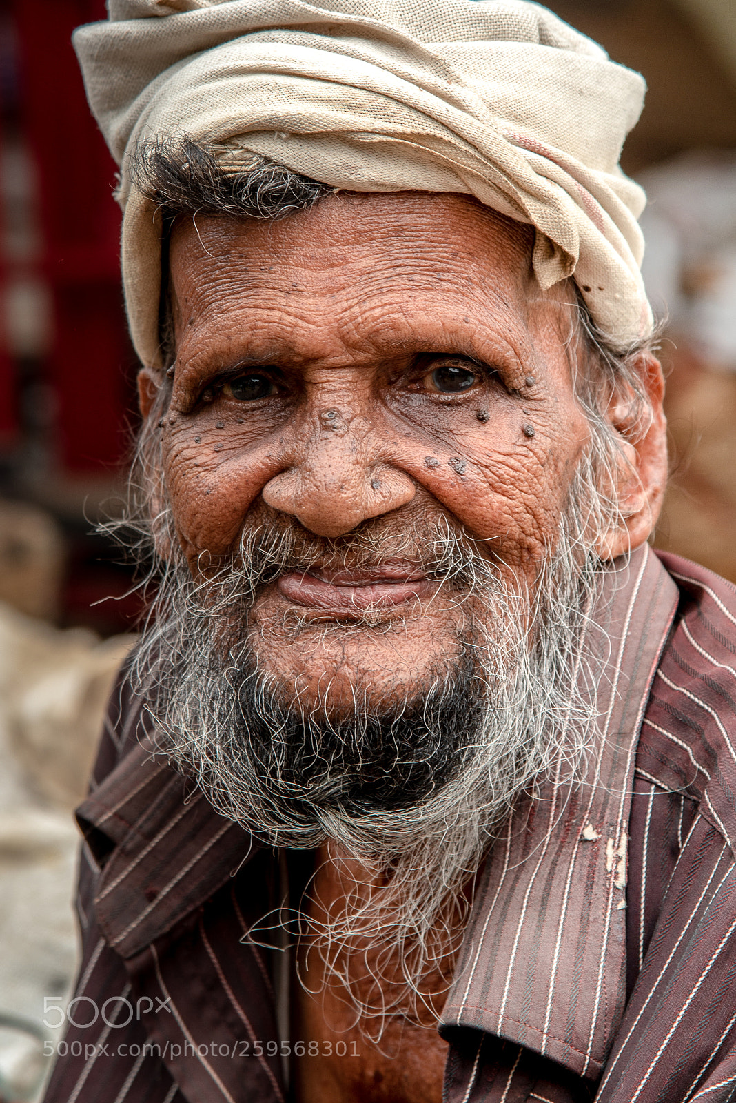 Nikon D750 sample photo. Portrait photography