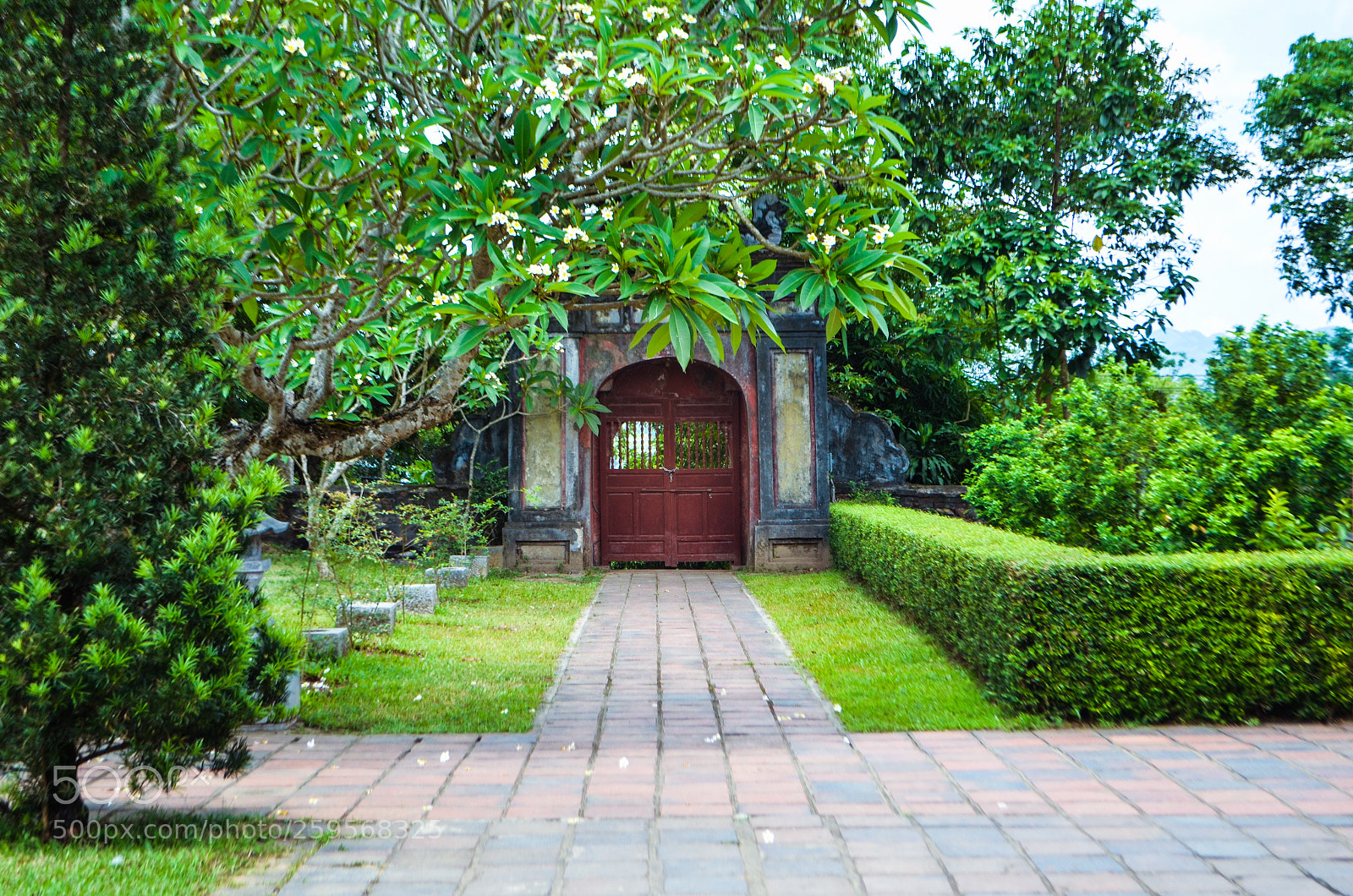 Nikon D5100 sample photo. Secret garden gate photography