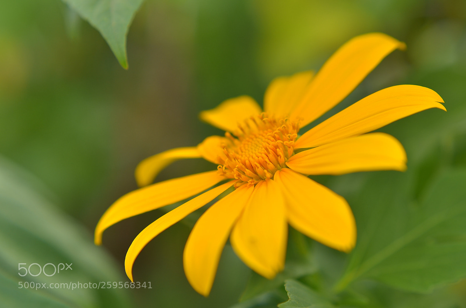 Nikon D7000 sample photo. Untitled photography