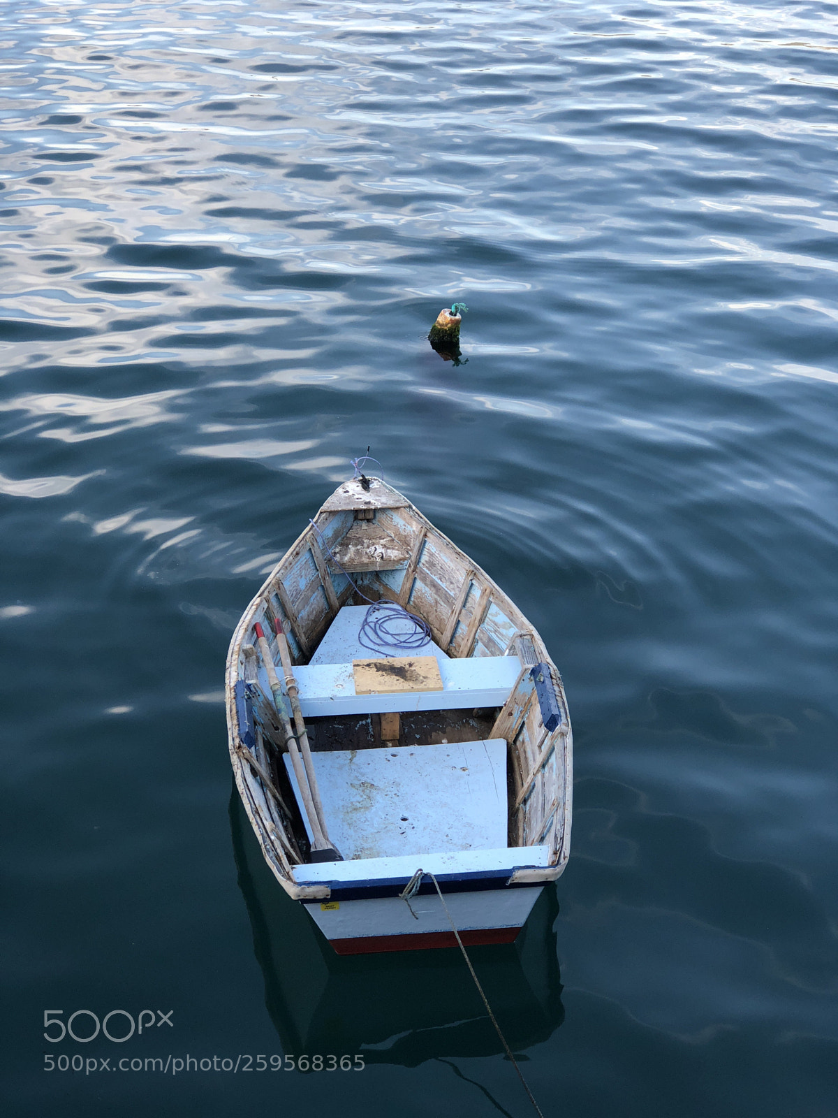Apple iPhone 8 Plus sample photo. Untitled photography