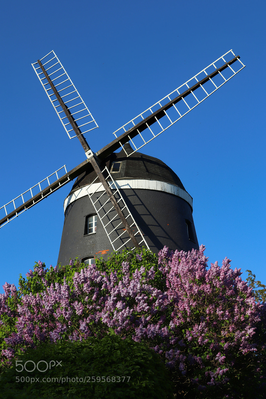 Canon EOS 200D (EOS Rebel SL2 / EOS Kiss X9) sample photo. The old mill photography