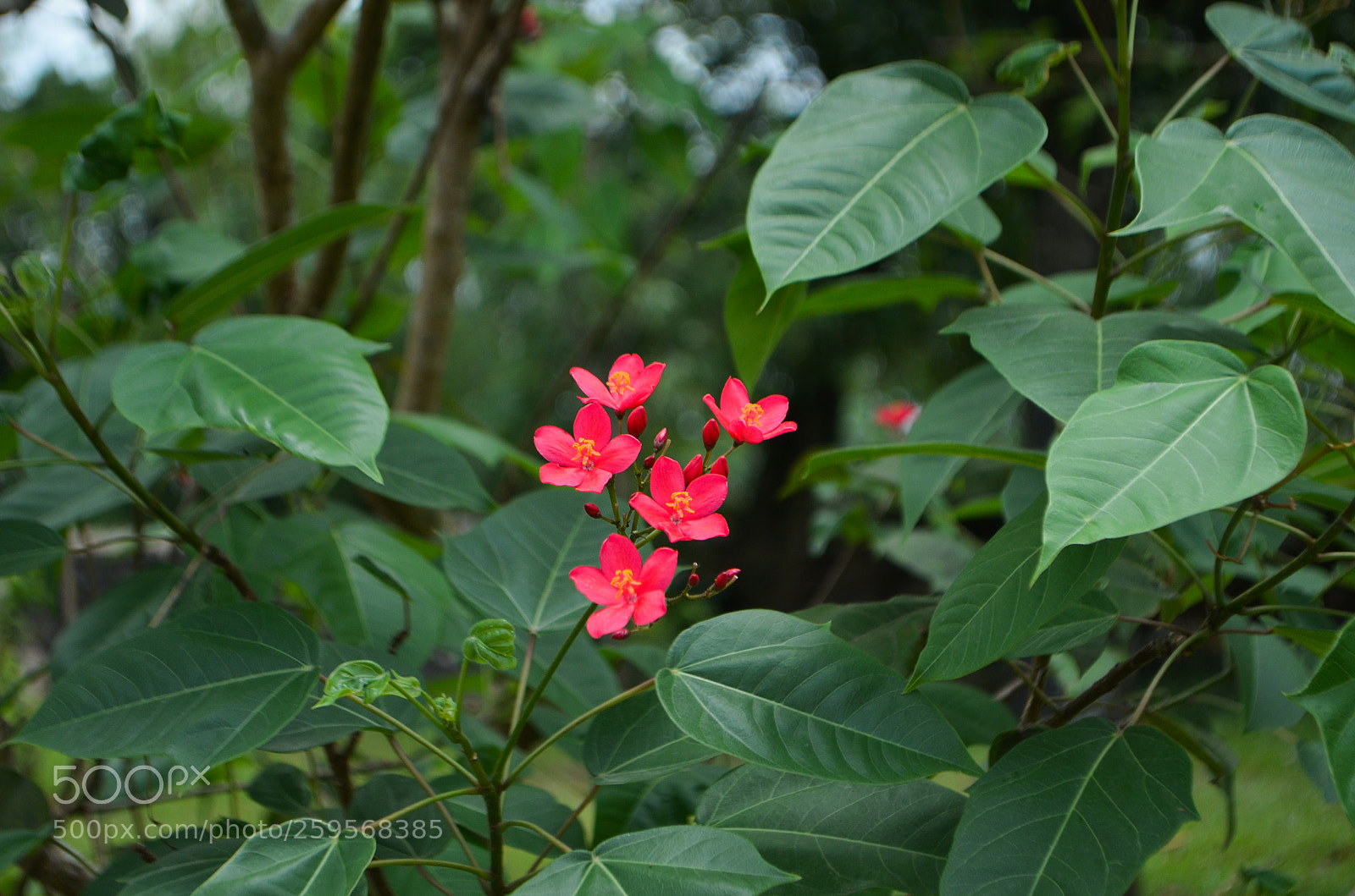 Nikon D5100 sample photo. Untitled photography