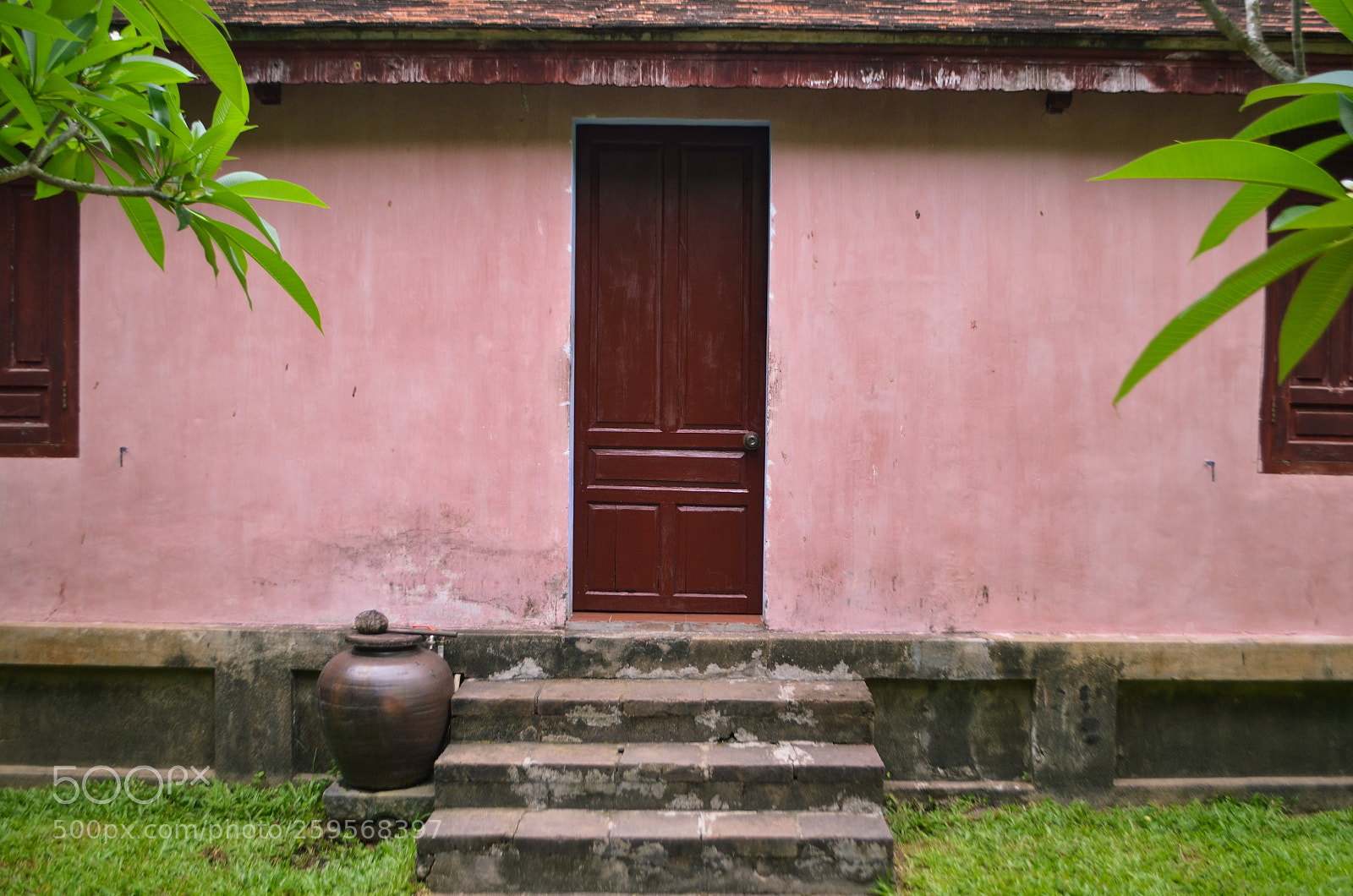Nikon D5100 sample photo. Pink and chocolate photography