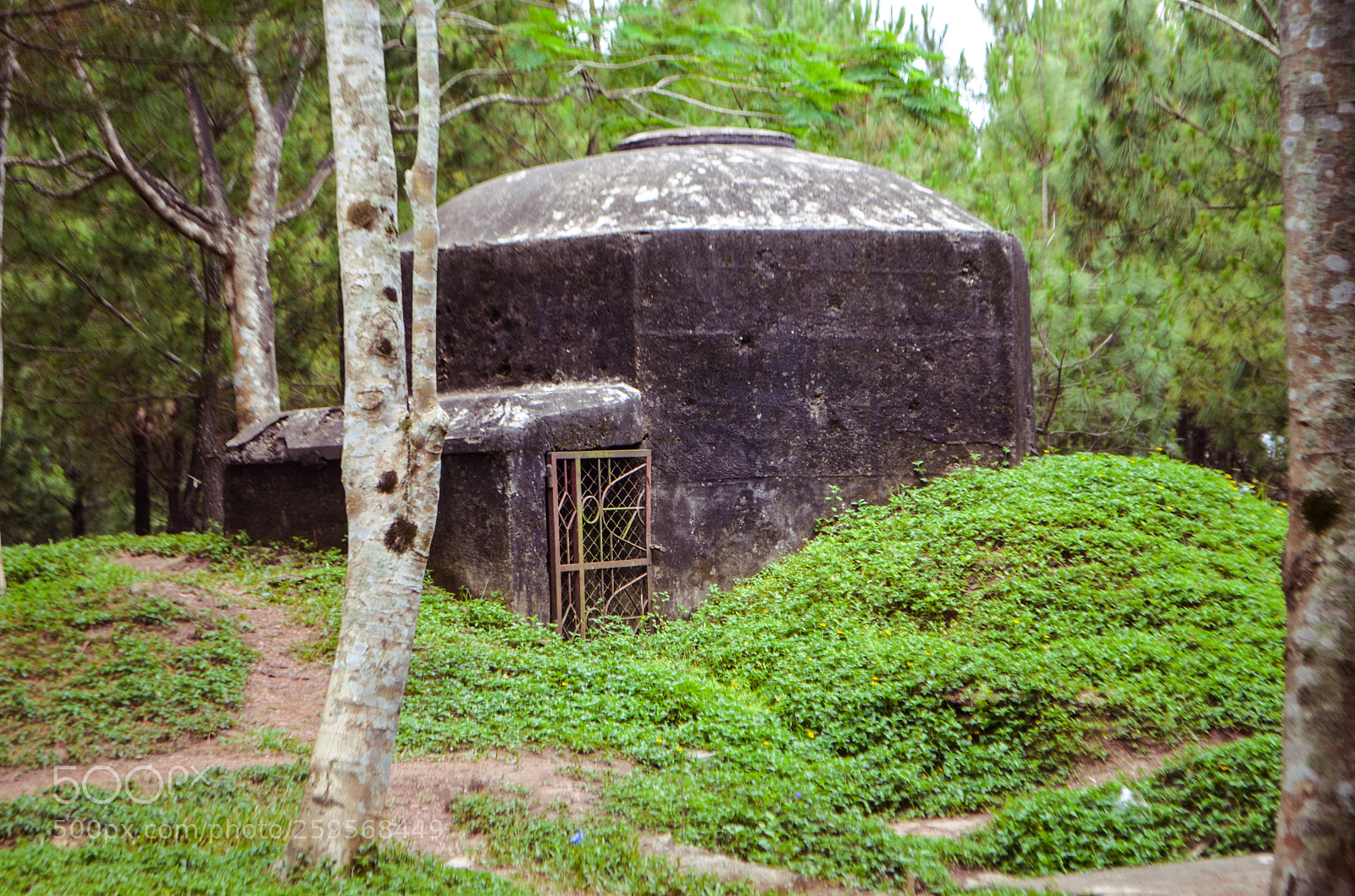 Nikon D5100 sample photo. Bunker photography