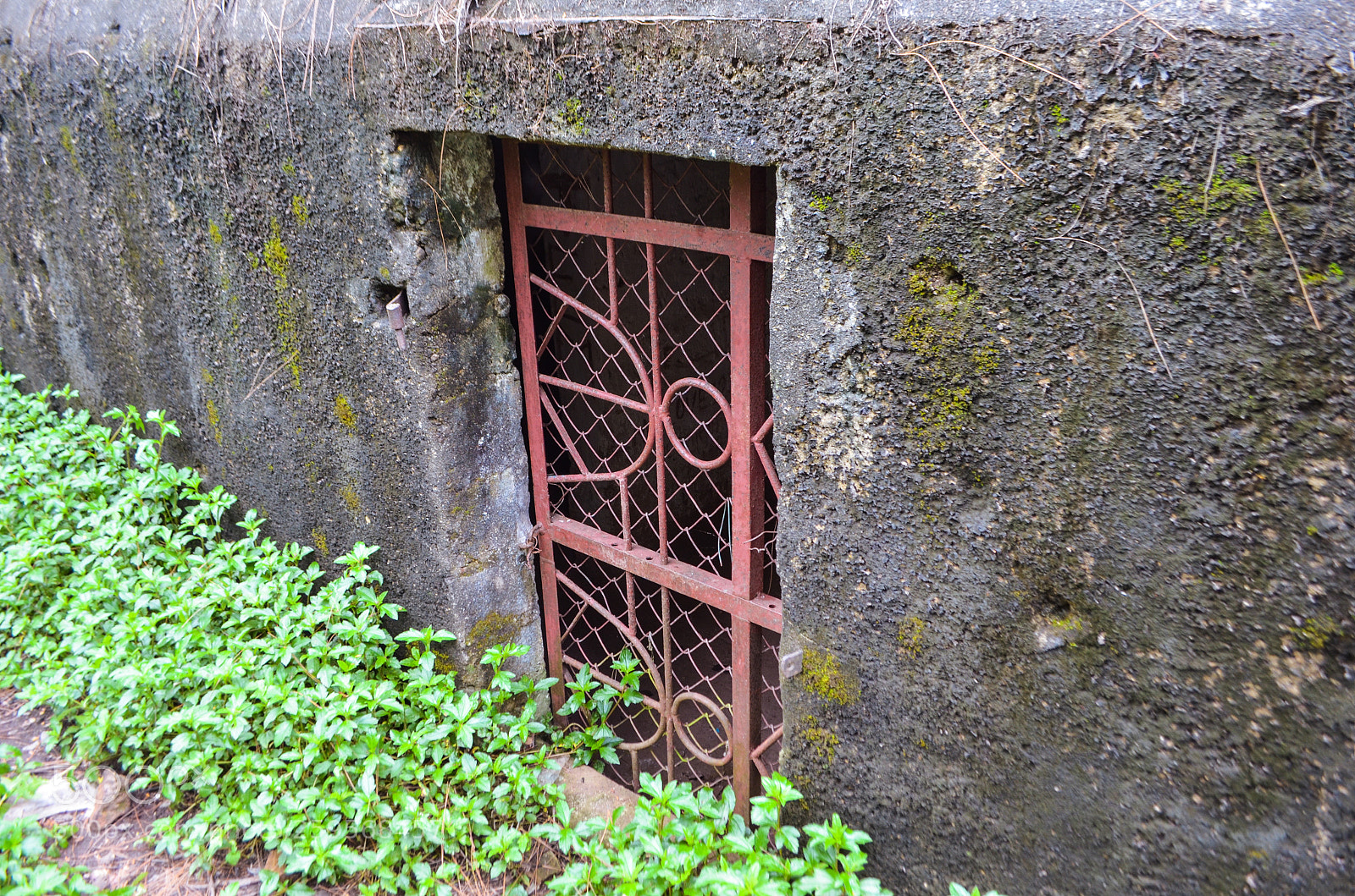 Nikon D5100 sample photo. Untitled photography