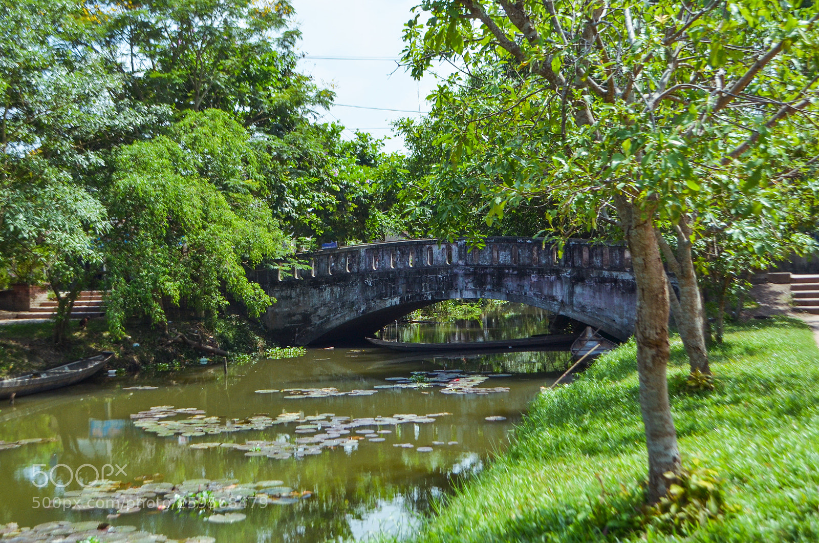 Nikon D5100 sample photo. Untitled photography