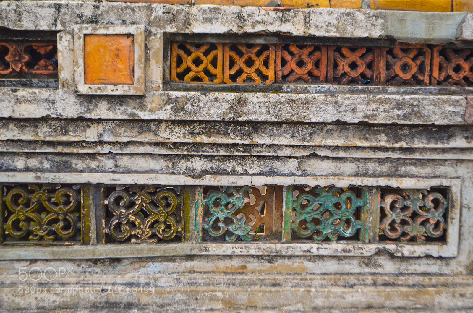 Nikon D5100 sample photo. Untitled photography