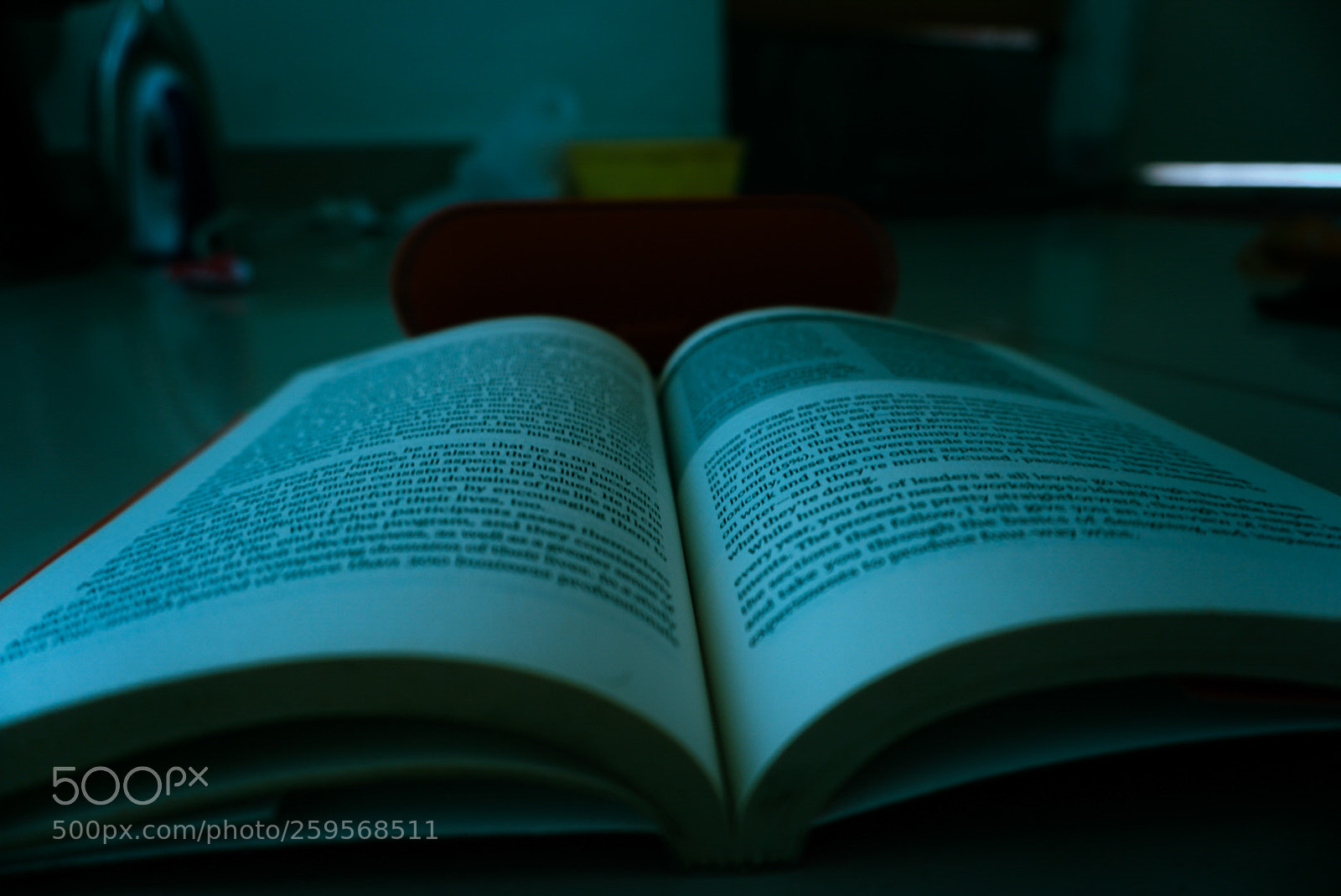 Sony a6000 sample photo. Untitled photography