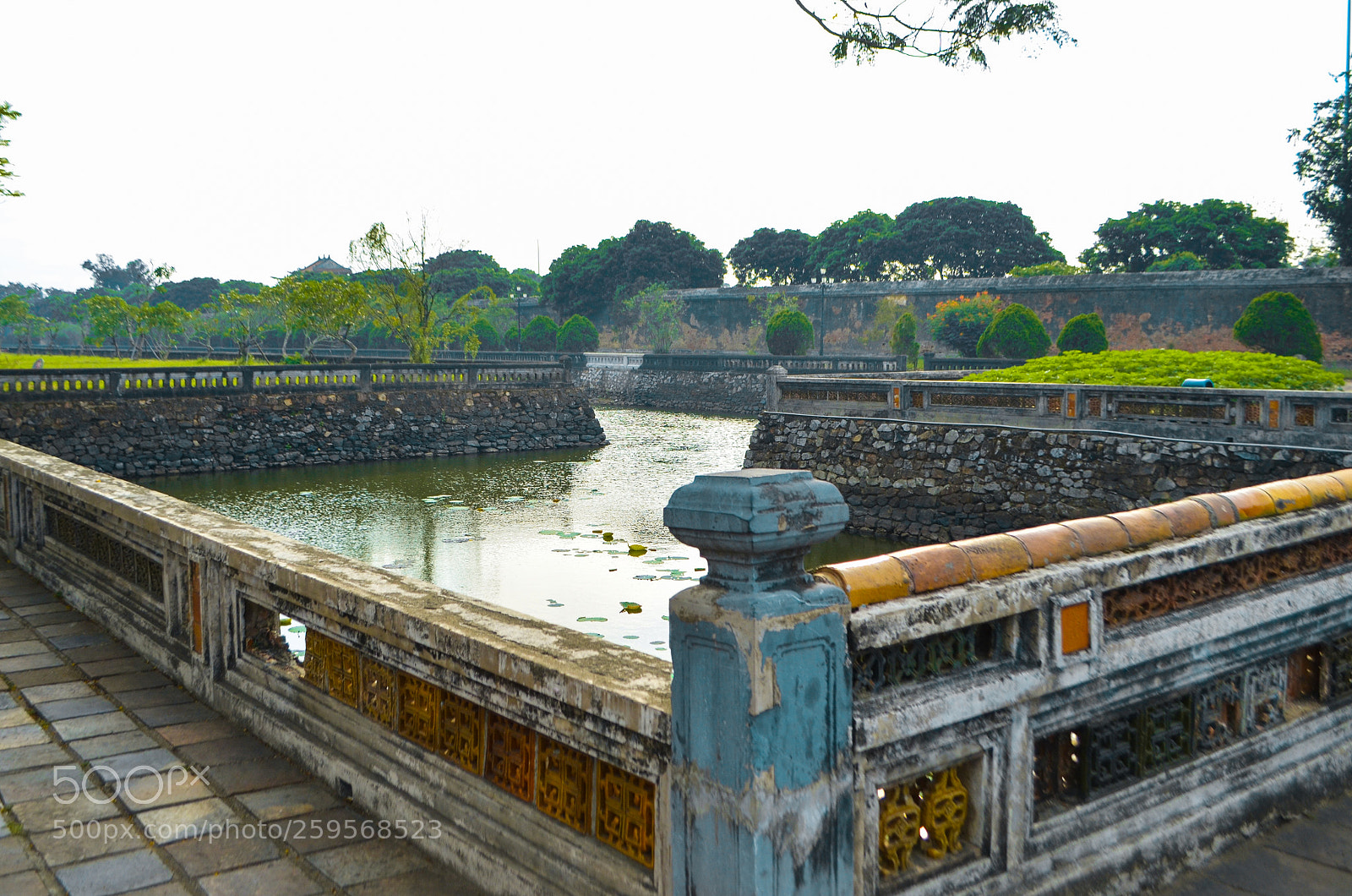 Nikon D5100 sample photo. Untitled photography