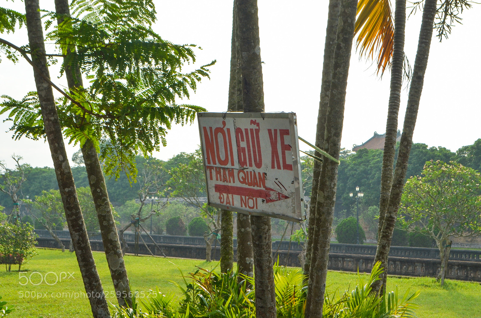 Nikon D5100 sample photo. Untitled photography