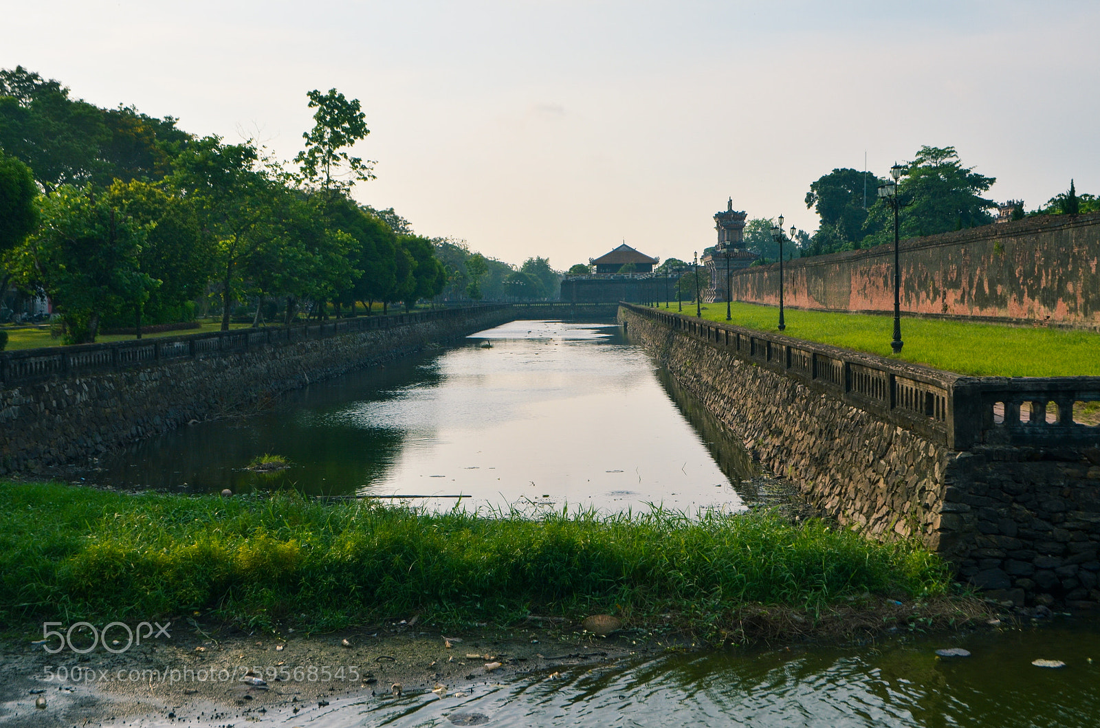 Nikon D5100 sample photo. Untitled photography